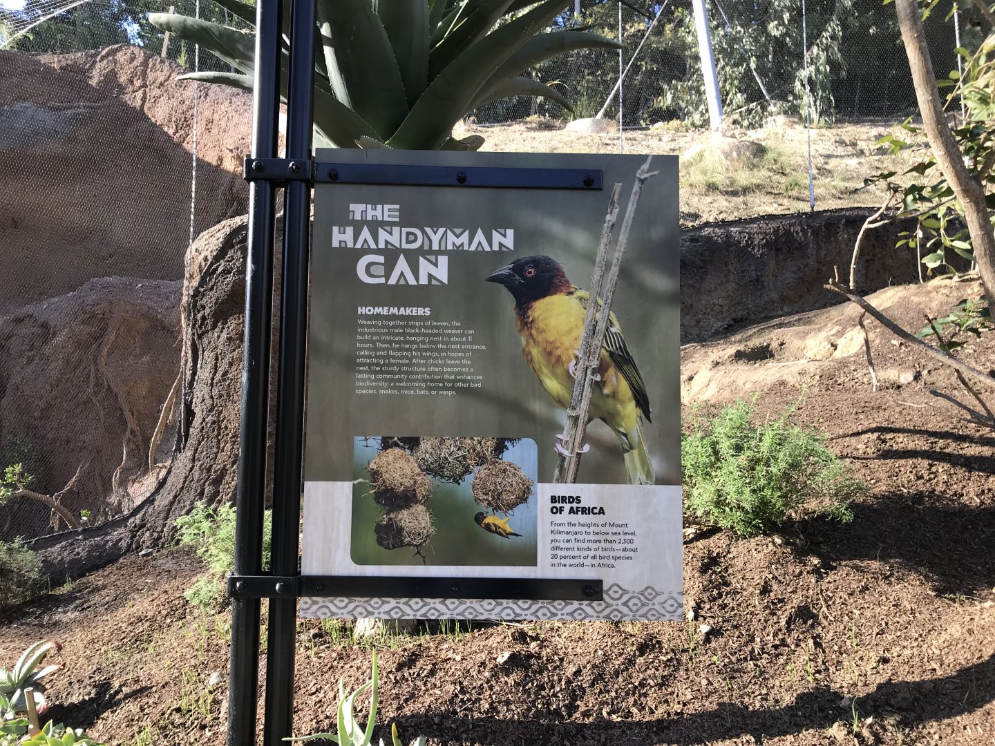 AR Lower Aviary Sign 5