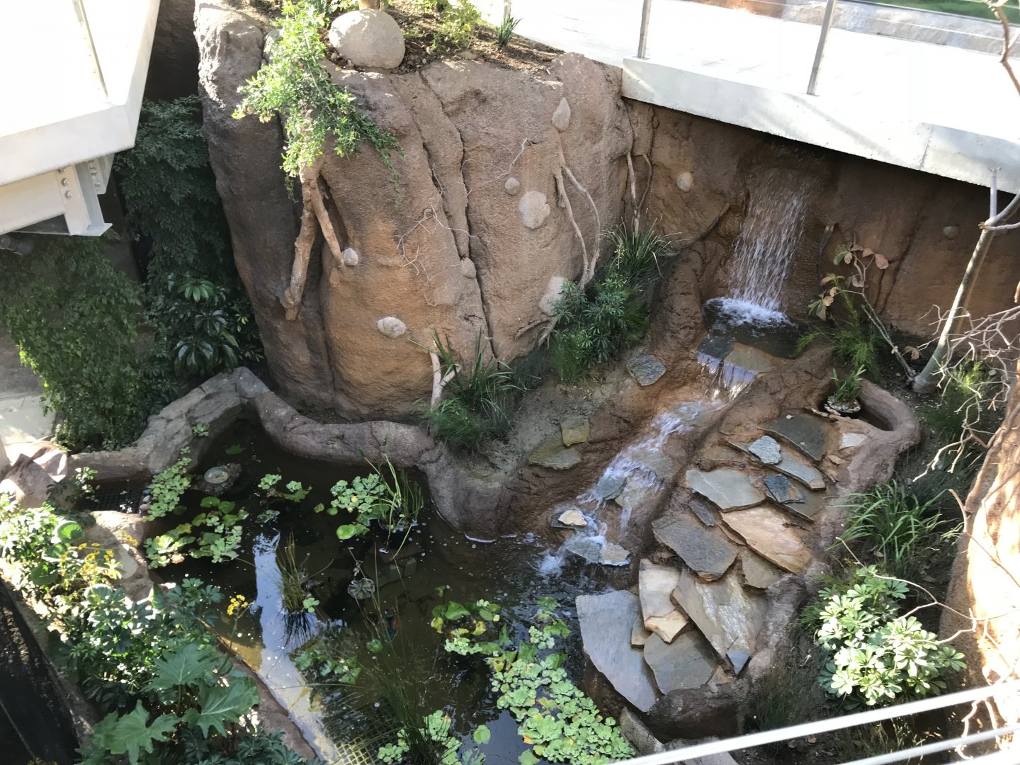 AR Lower Aviary Waterfall