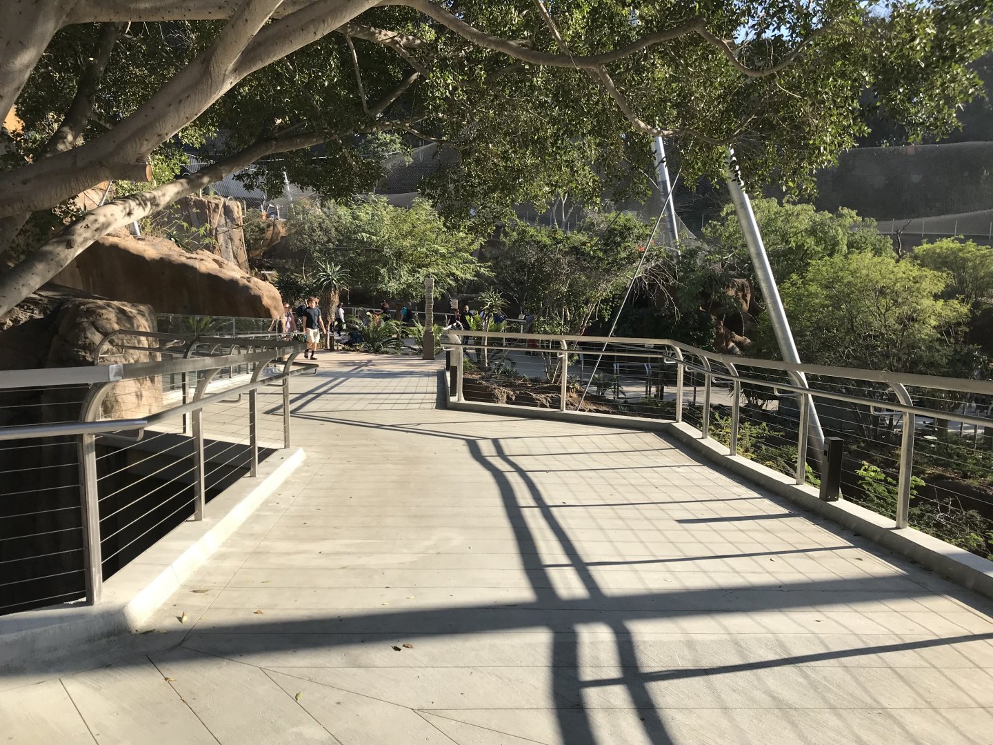 AR Path To AR Gelada 1 Viewing Area 2