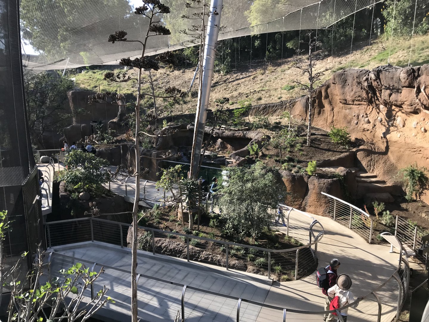 AR Upper Aviary Center