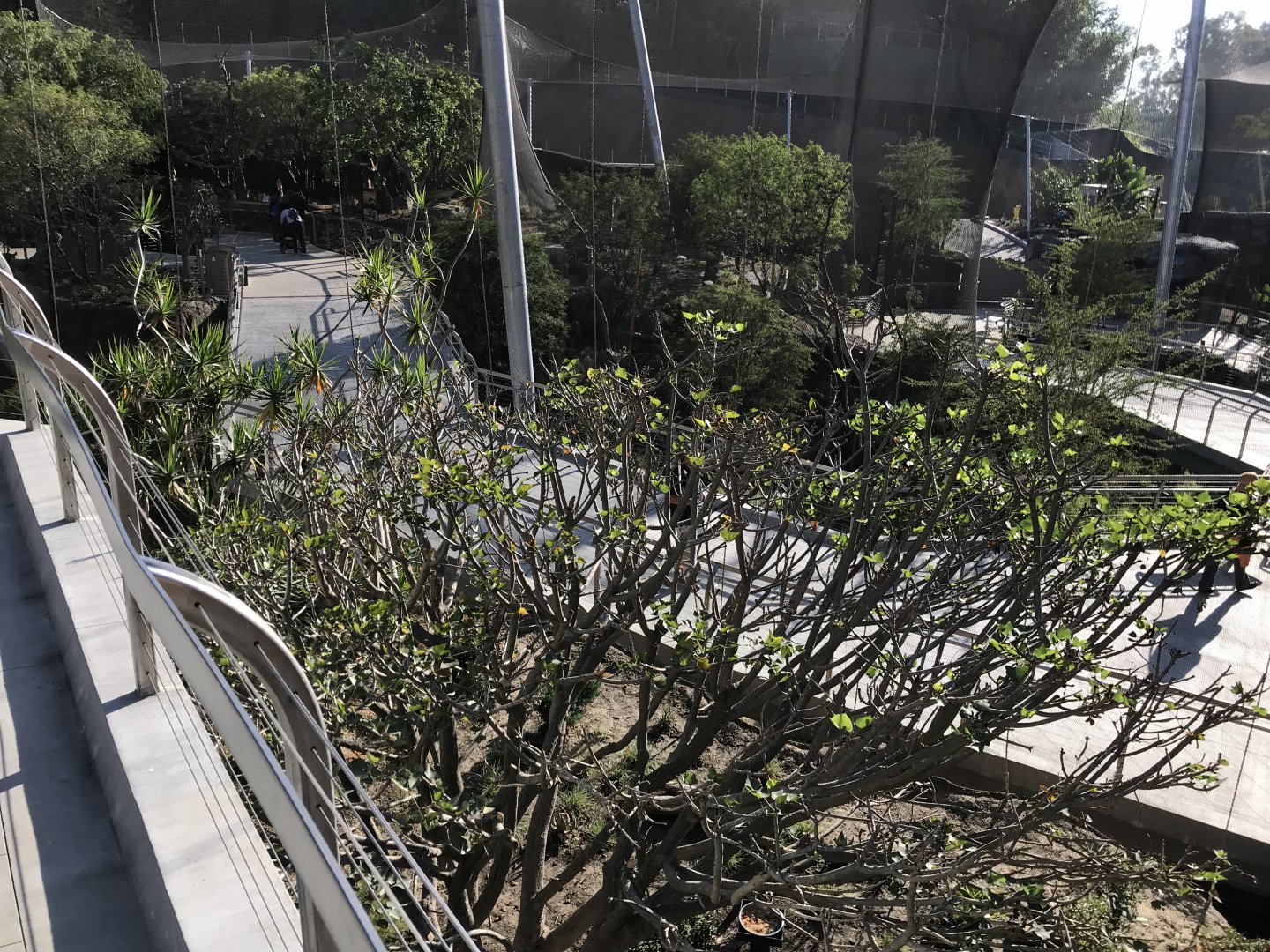 AR Upper Aviary Left