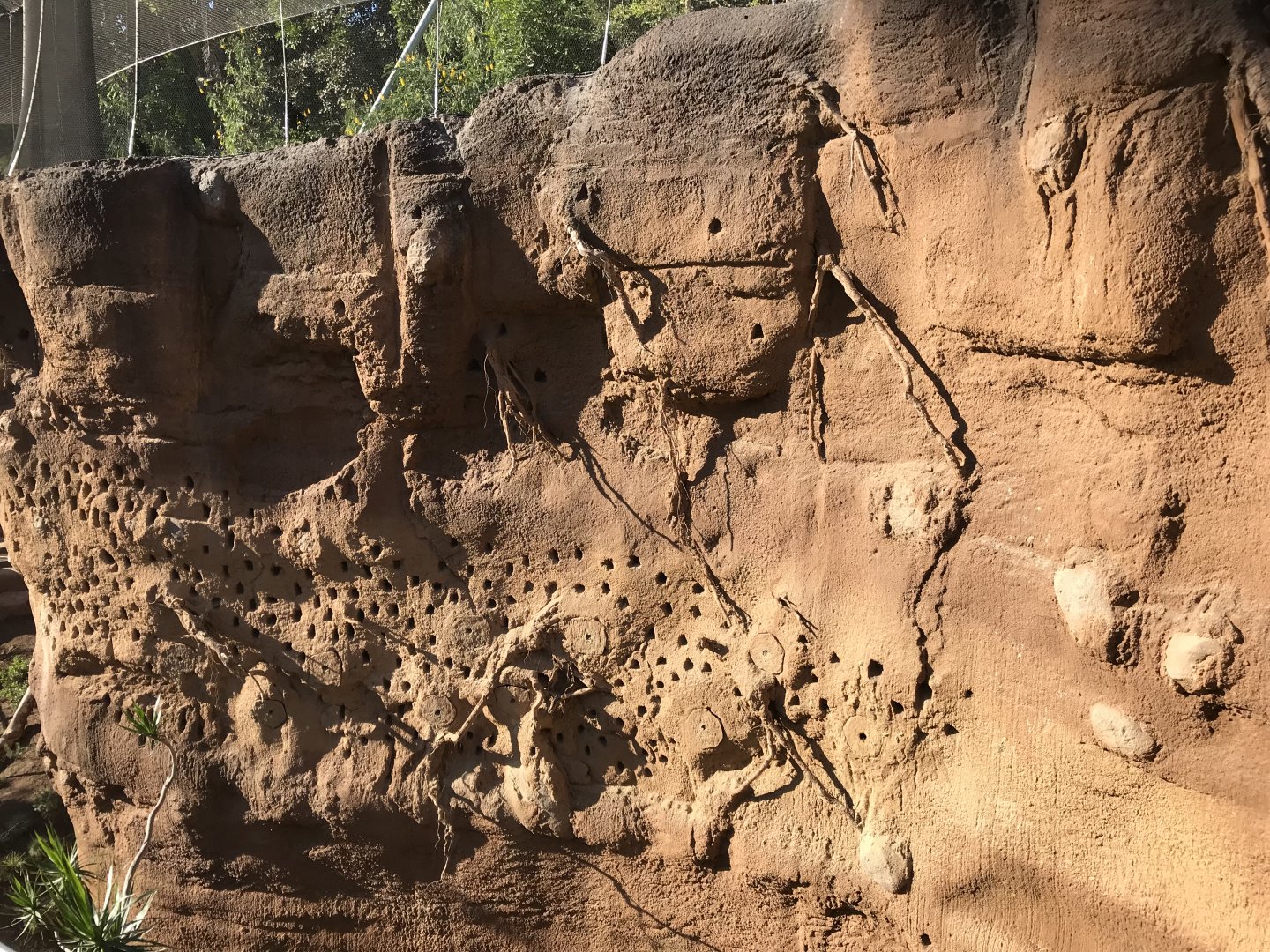 AR Upper Aviary Right