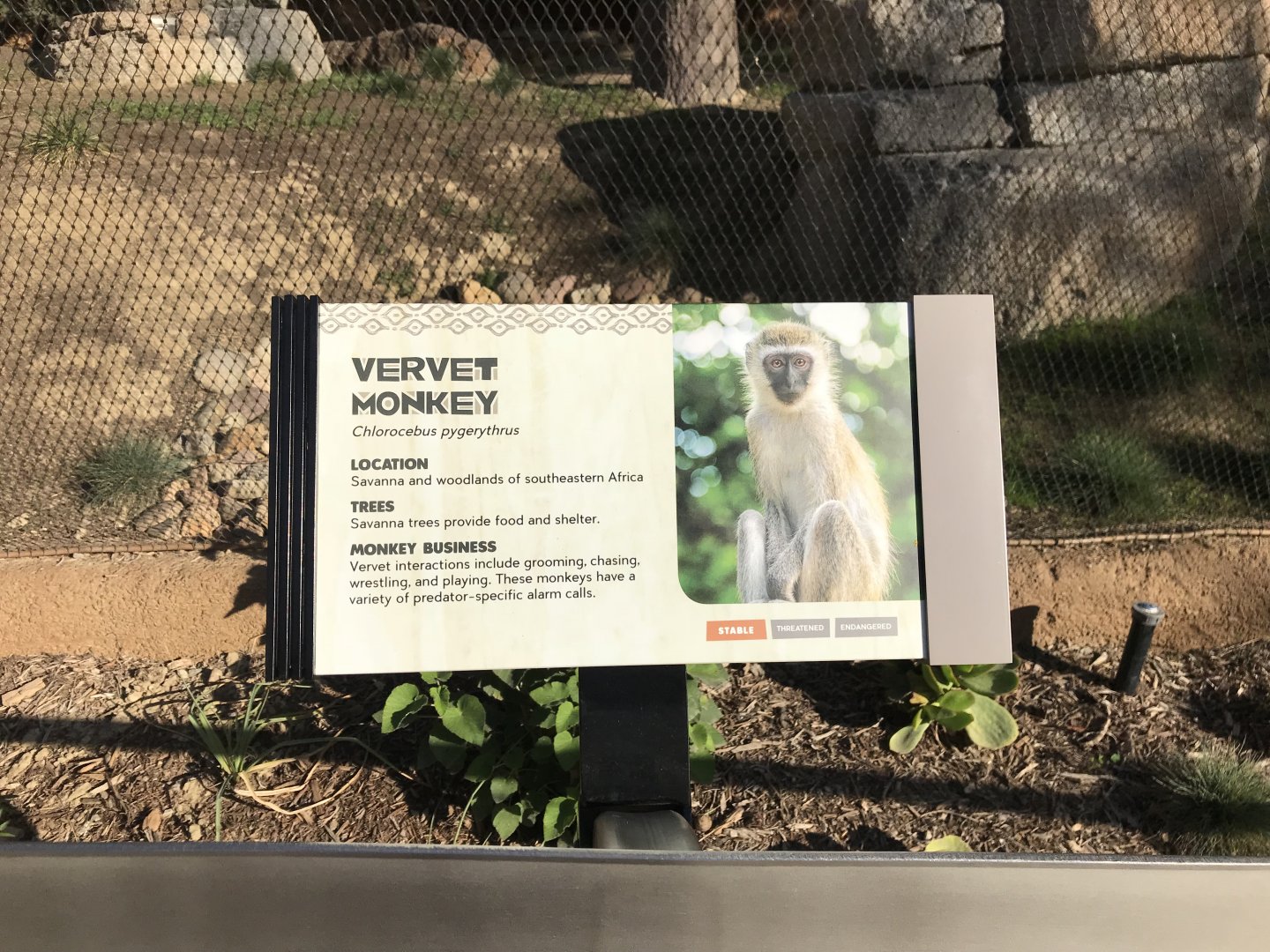 AR Vervet Monkey Sign 1