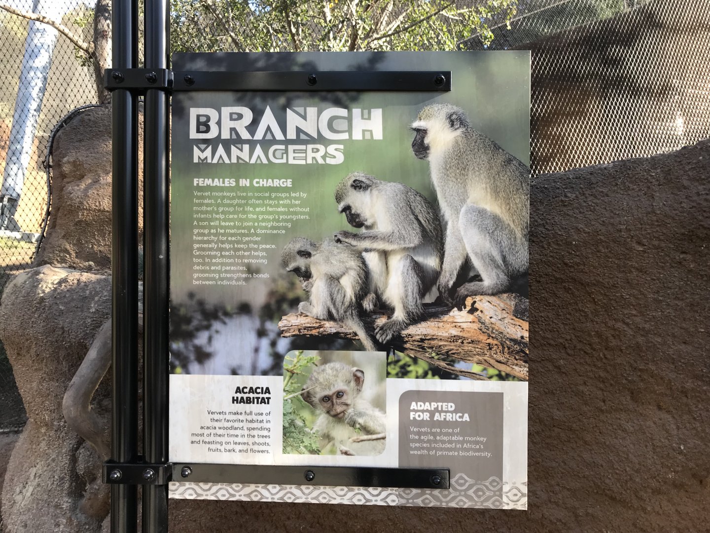 AR Vervet Monkey Sign 2