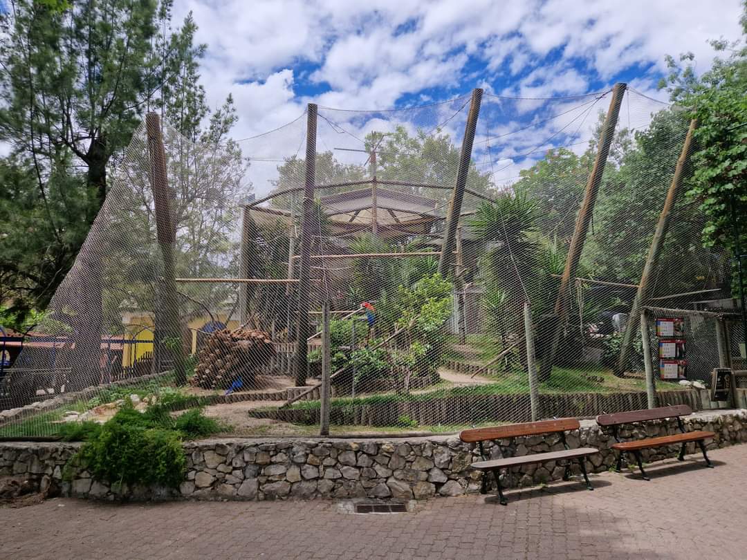 Ara Aviary