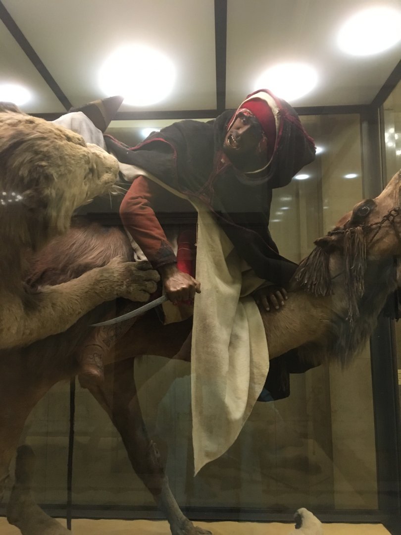 Arab Courier Attacked By Lions Closeup