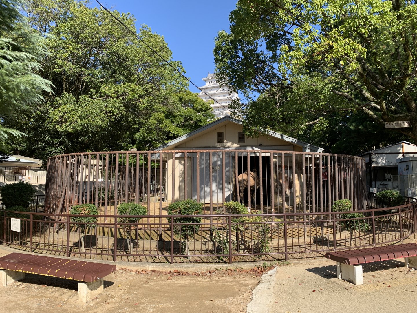 Arabian Camel Enclosure (Himeji City Zoo)