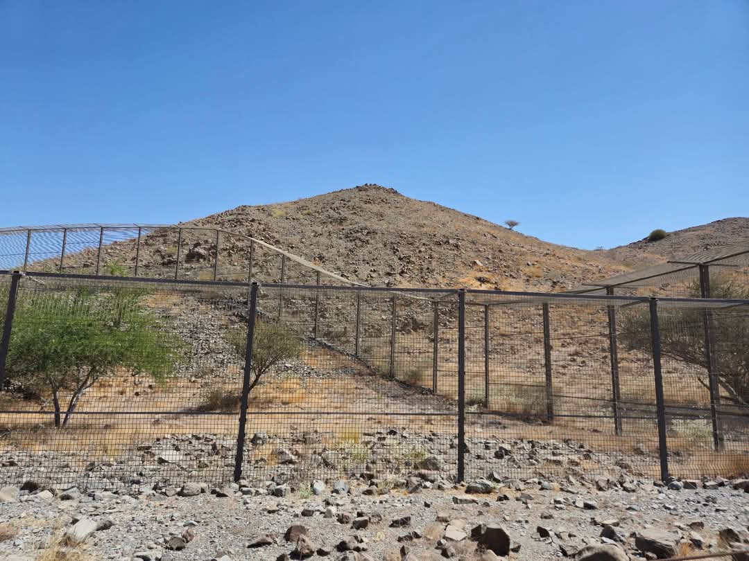Arabian Leopard exhibit, Al Hefaiyah Conservation Centre