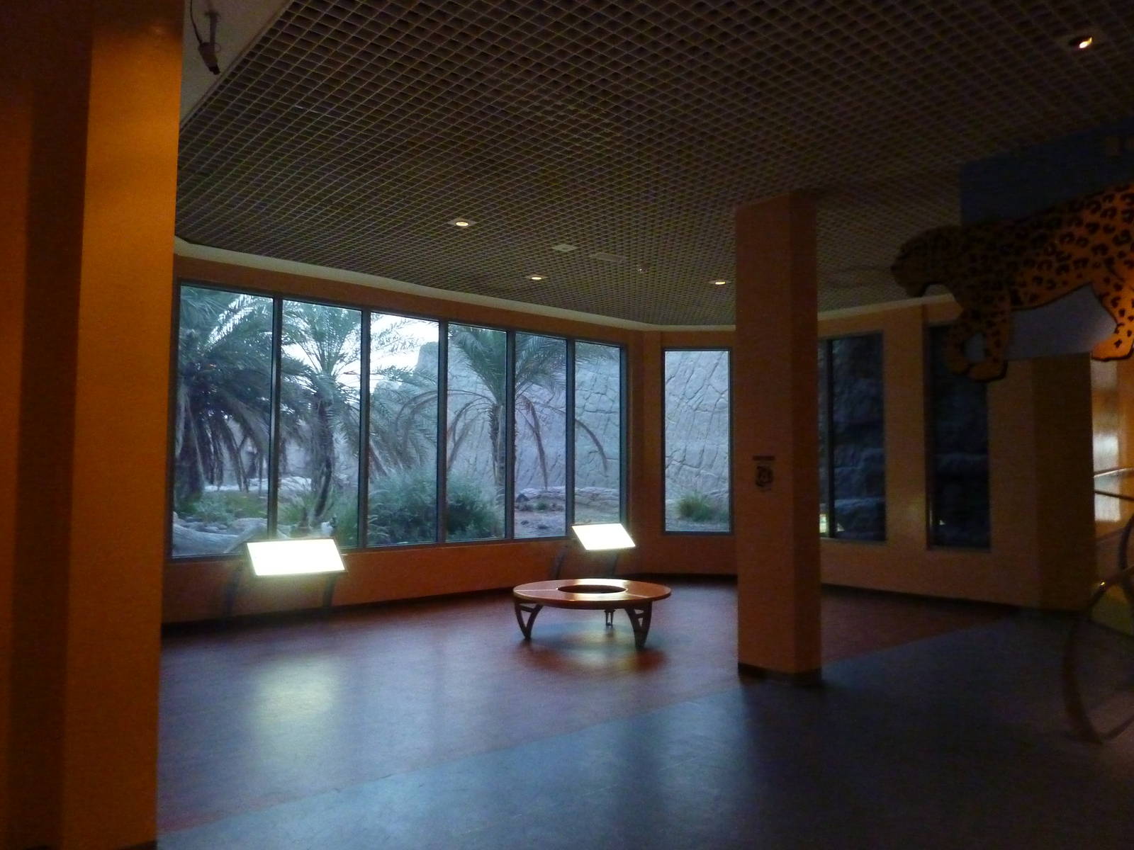 Arabian leopard viewing area, December 2011.