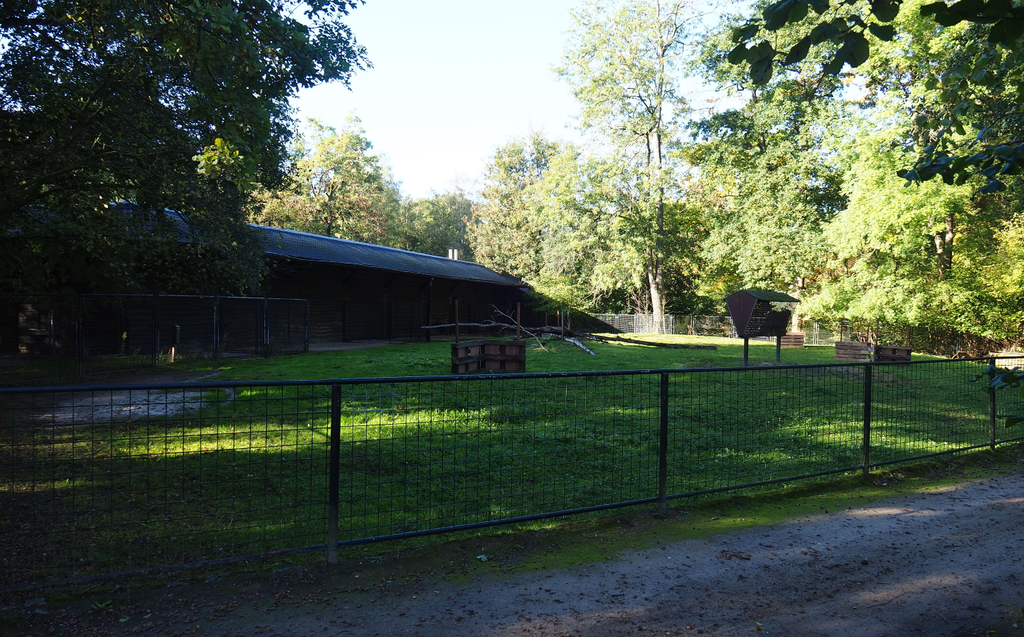 Arabian oryx and Slender-horned gazelle paddock, 2020-10-10