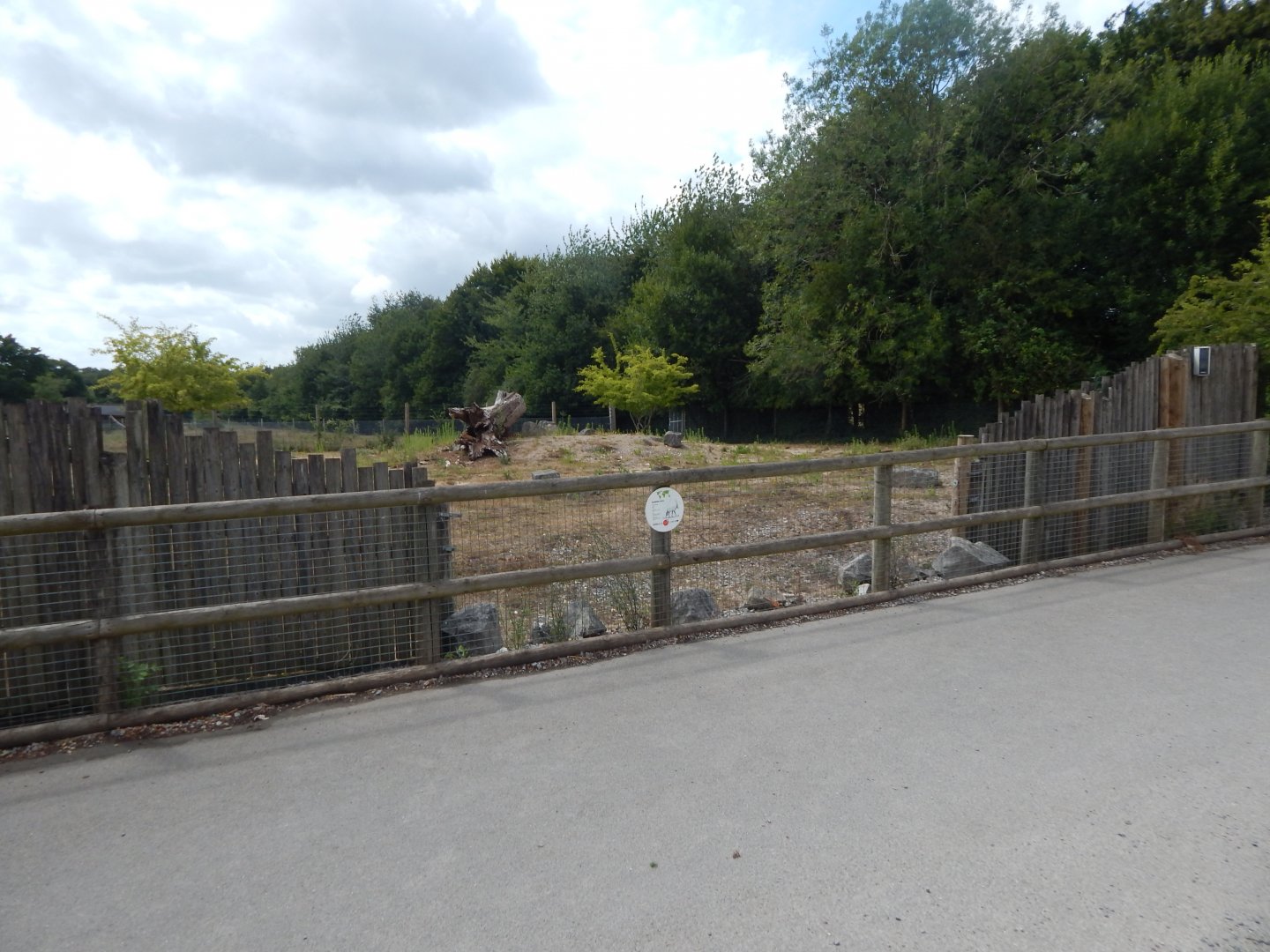Arabian oryx enclosure 150725