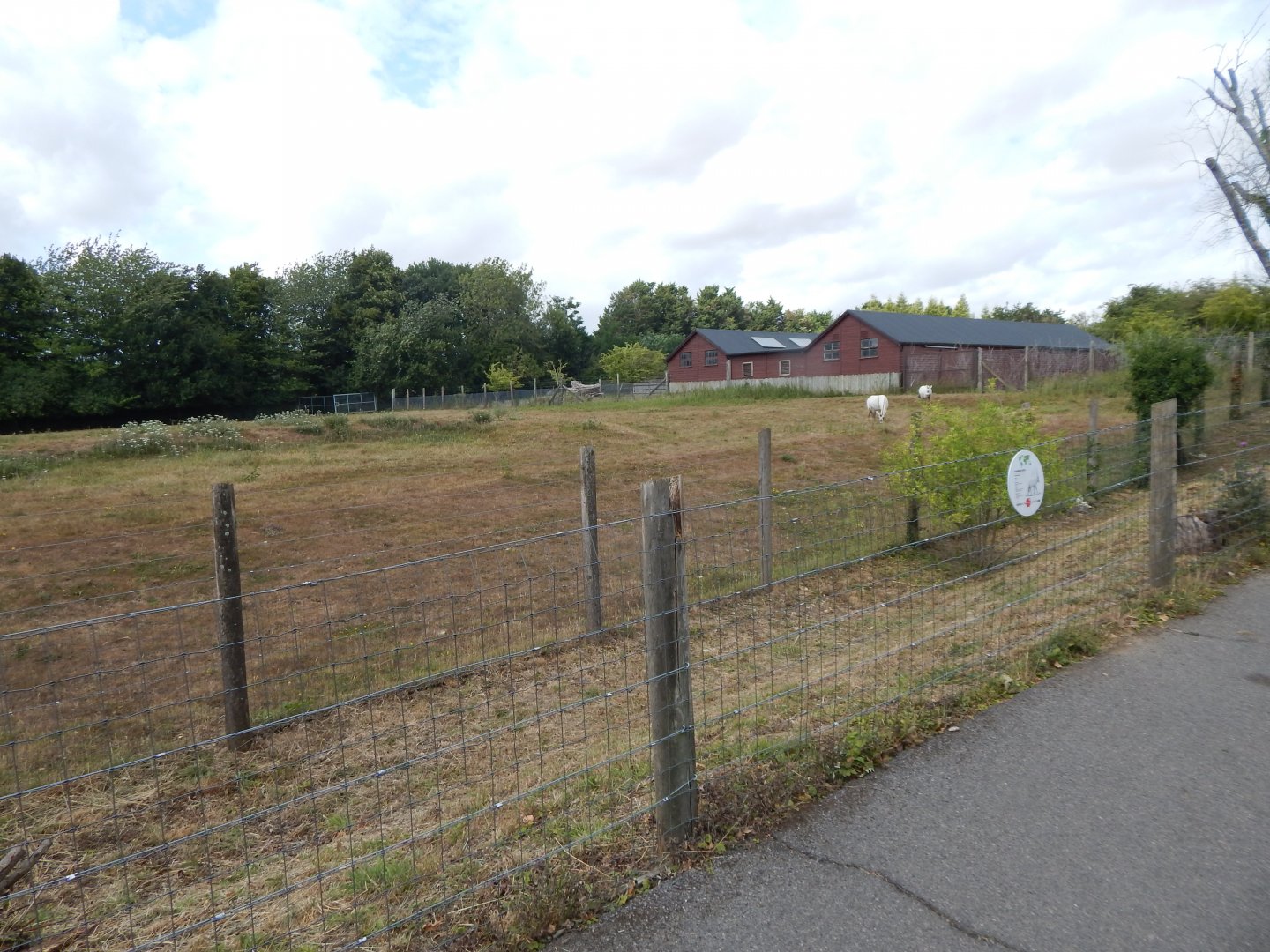 Arabian oryx enclosure 150725