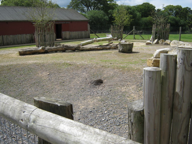 Arabian Oryx enclosure showing drop-barrier 2012