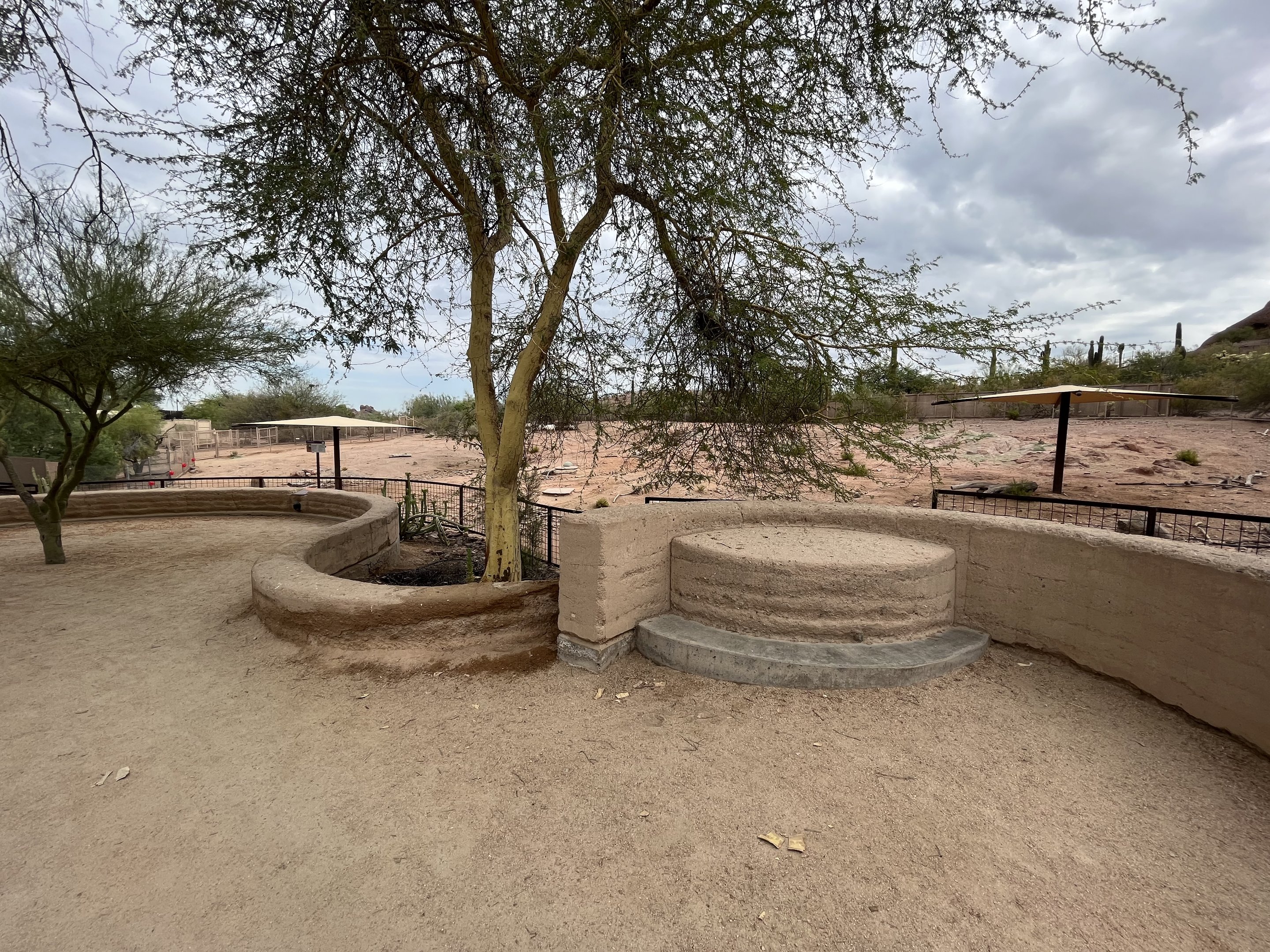 Arabian Oryx Exhibit