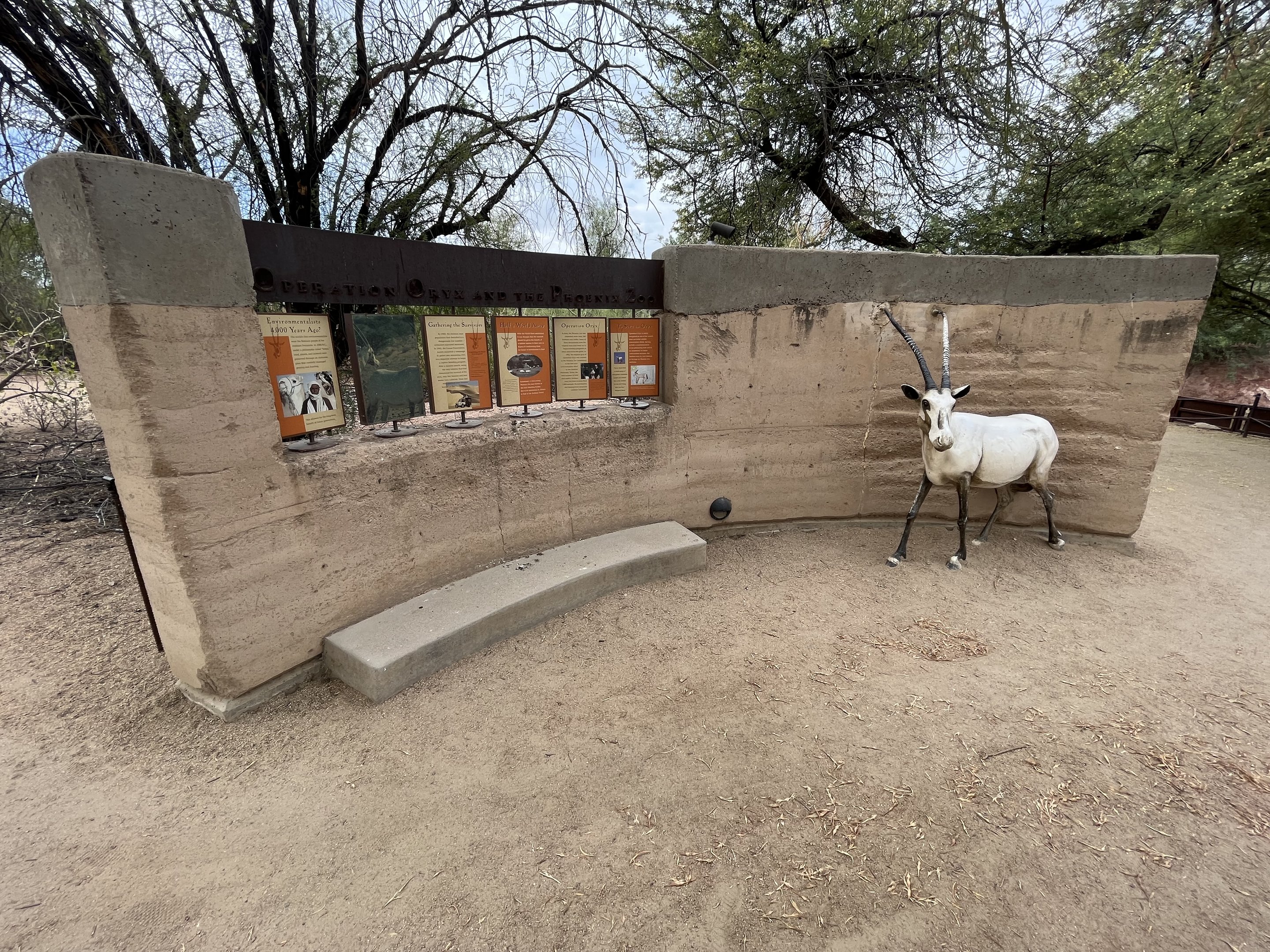 Arabian Oryx Exhibit