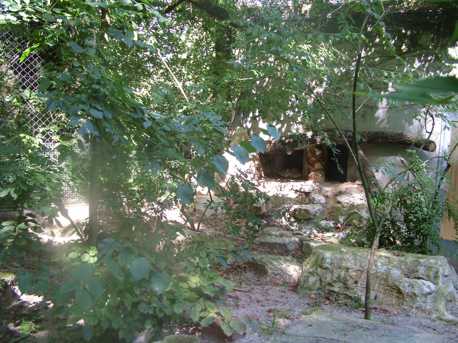 Arabian Sand Cat enclosure at Mulhouse 29/08/09
