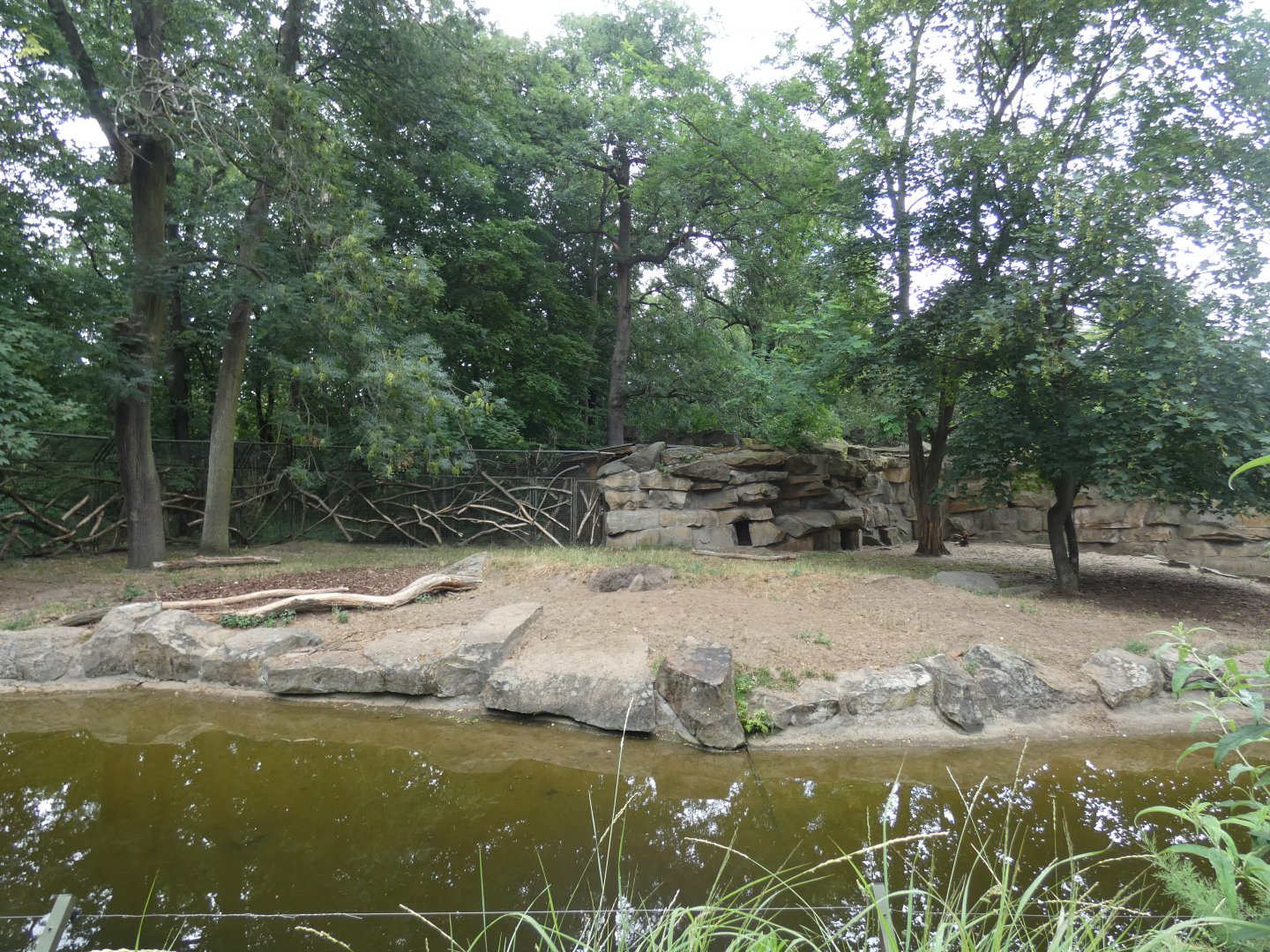 Arabian Striped Hyena enclosure
