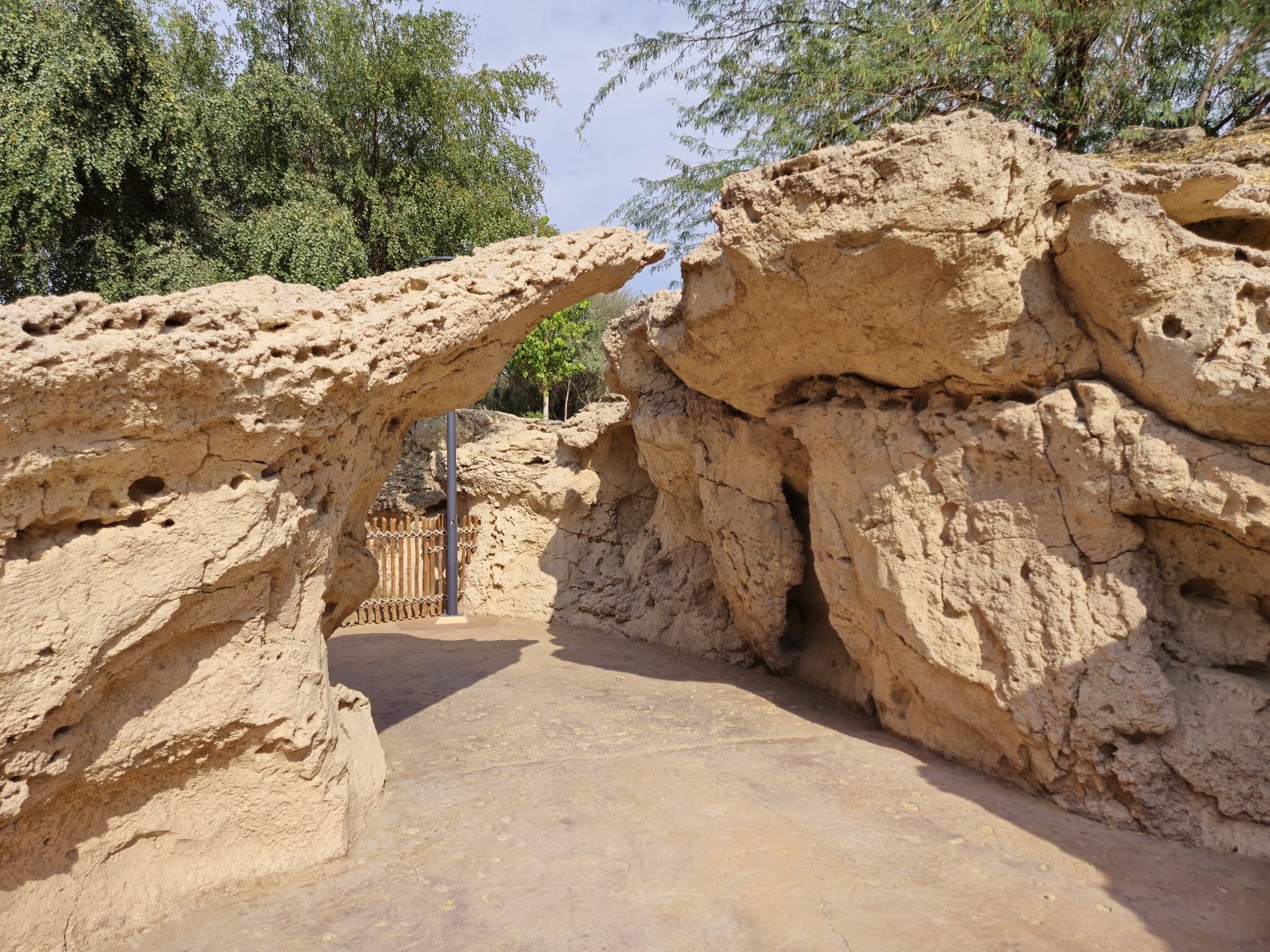 Arabian Tahr complex