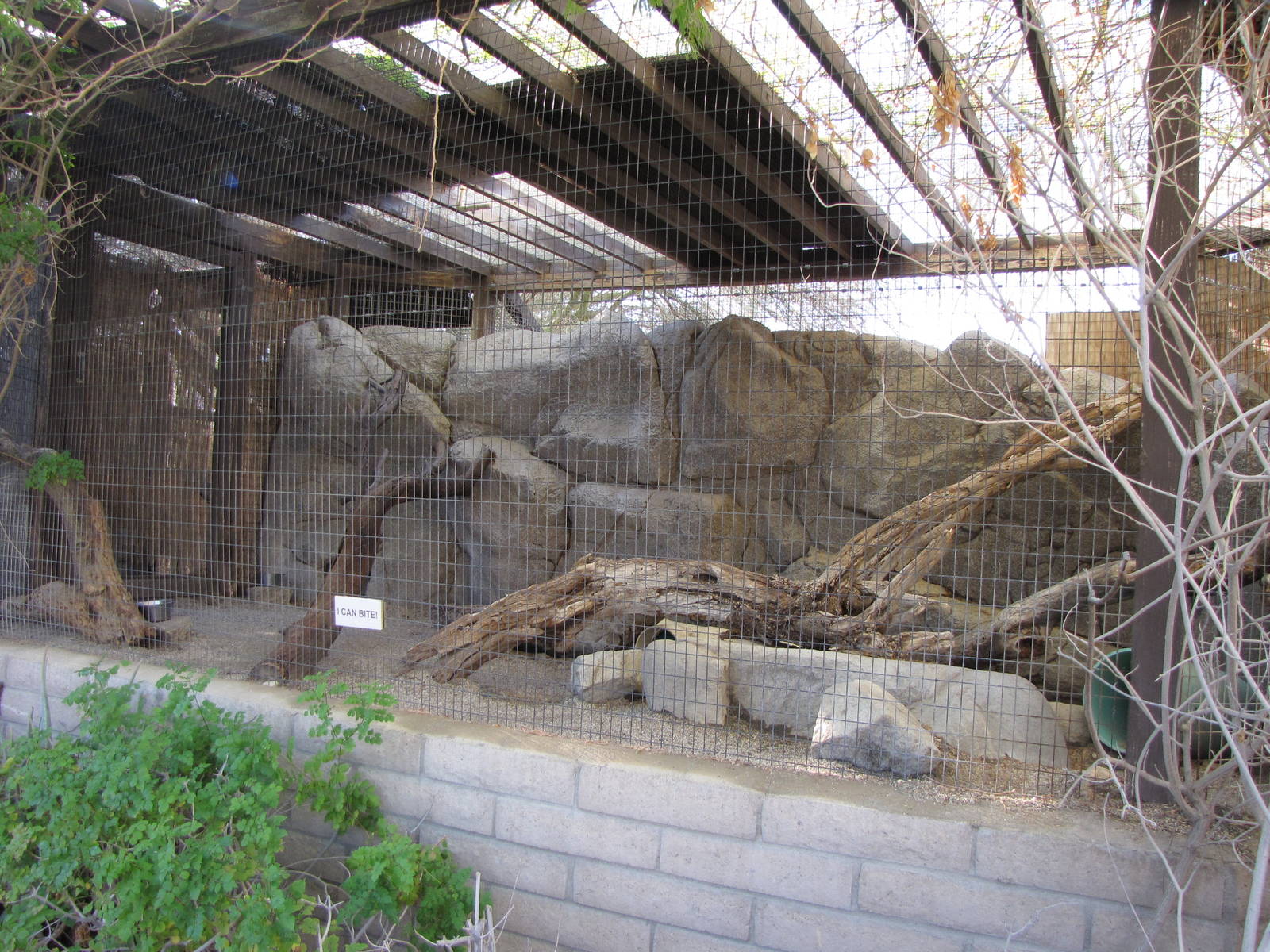 Arabian Wild Cat Enclosure