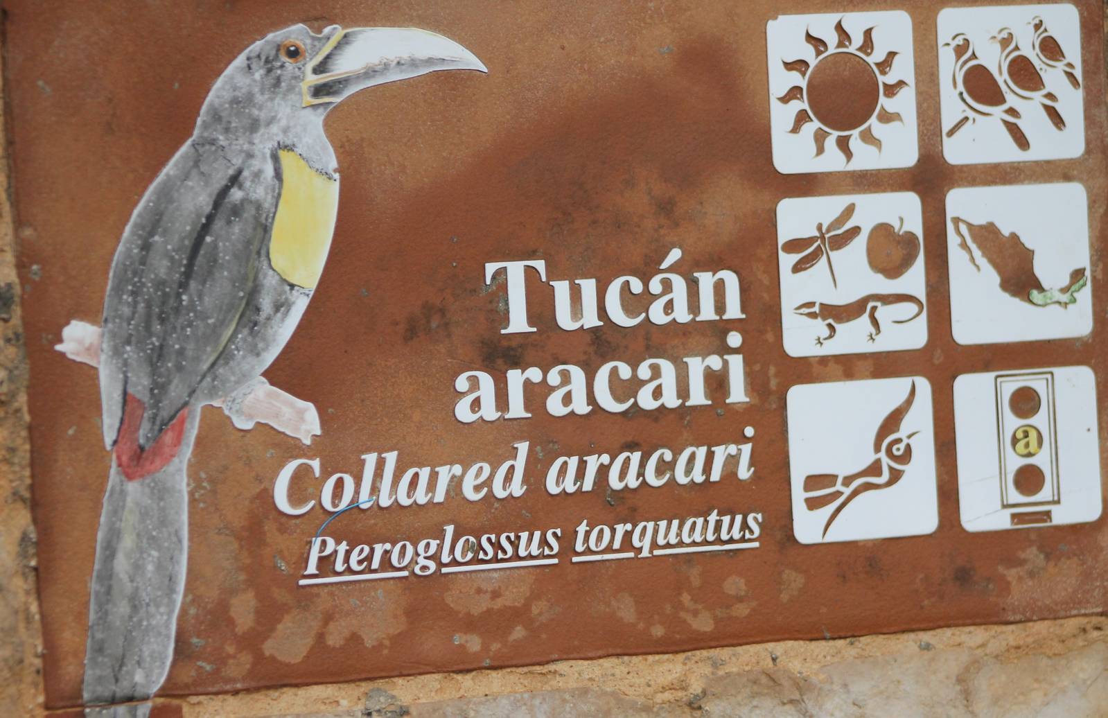 Aracari sign