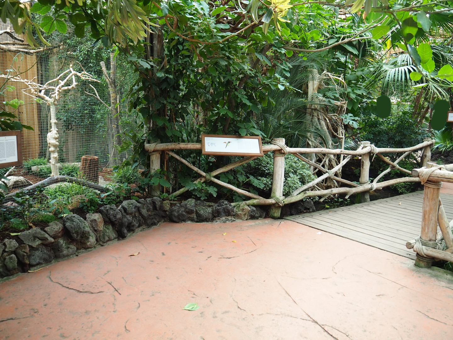 Aracari walk-through aviary, 2019-10-05