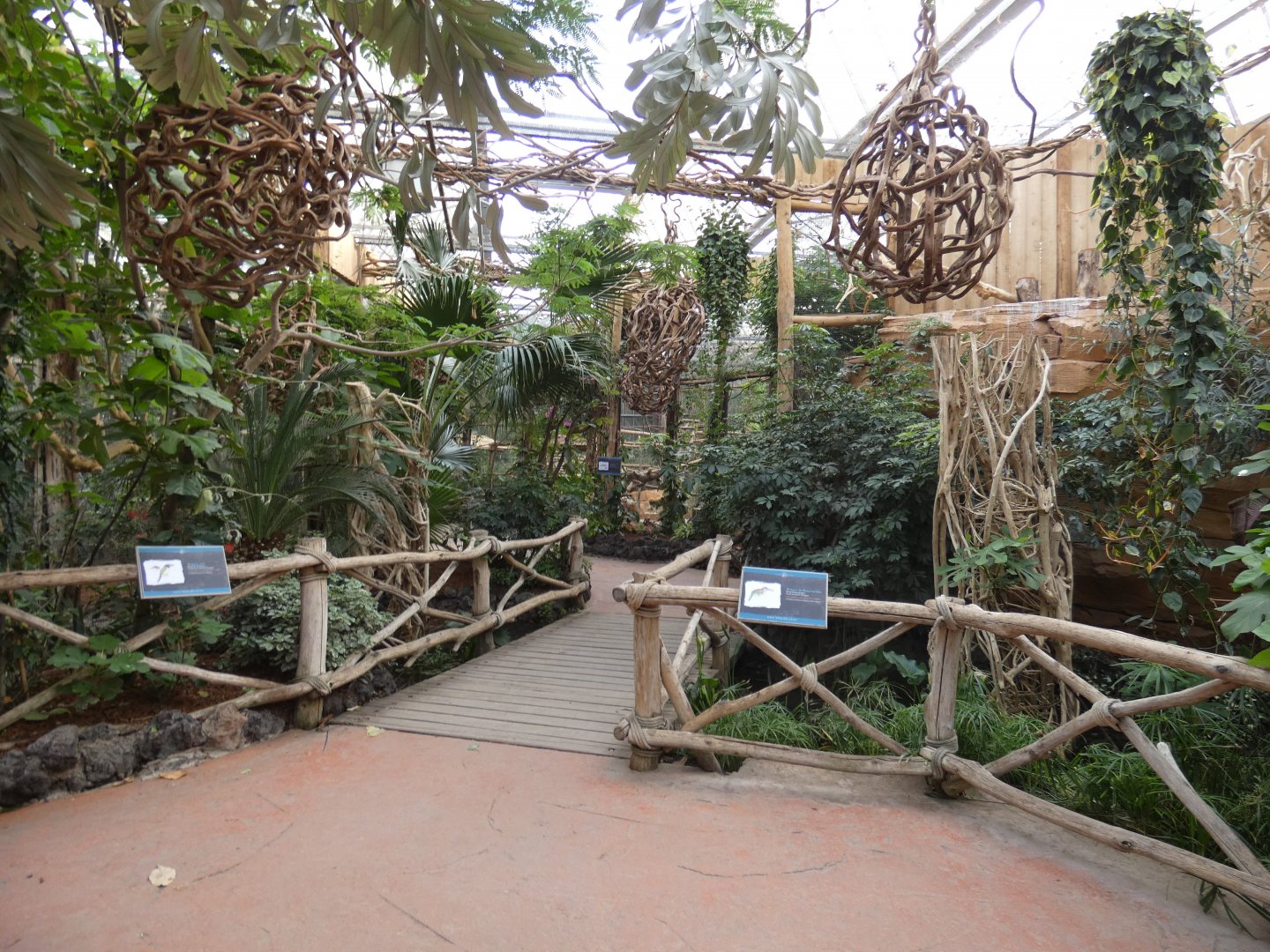 Aracari walk-through