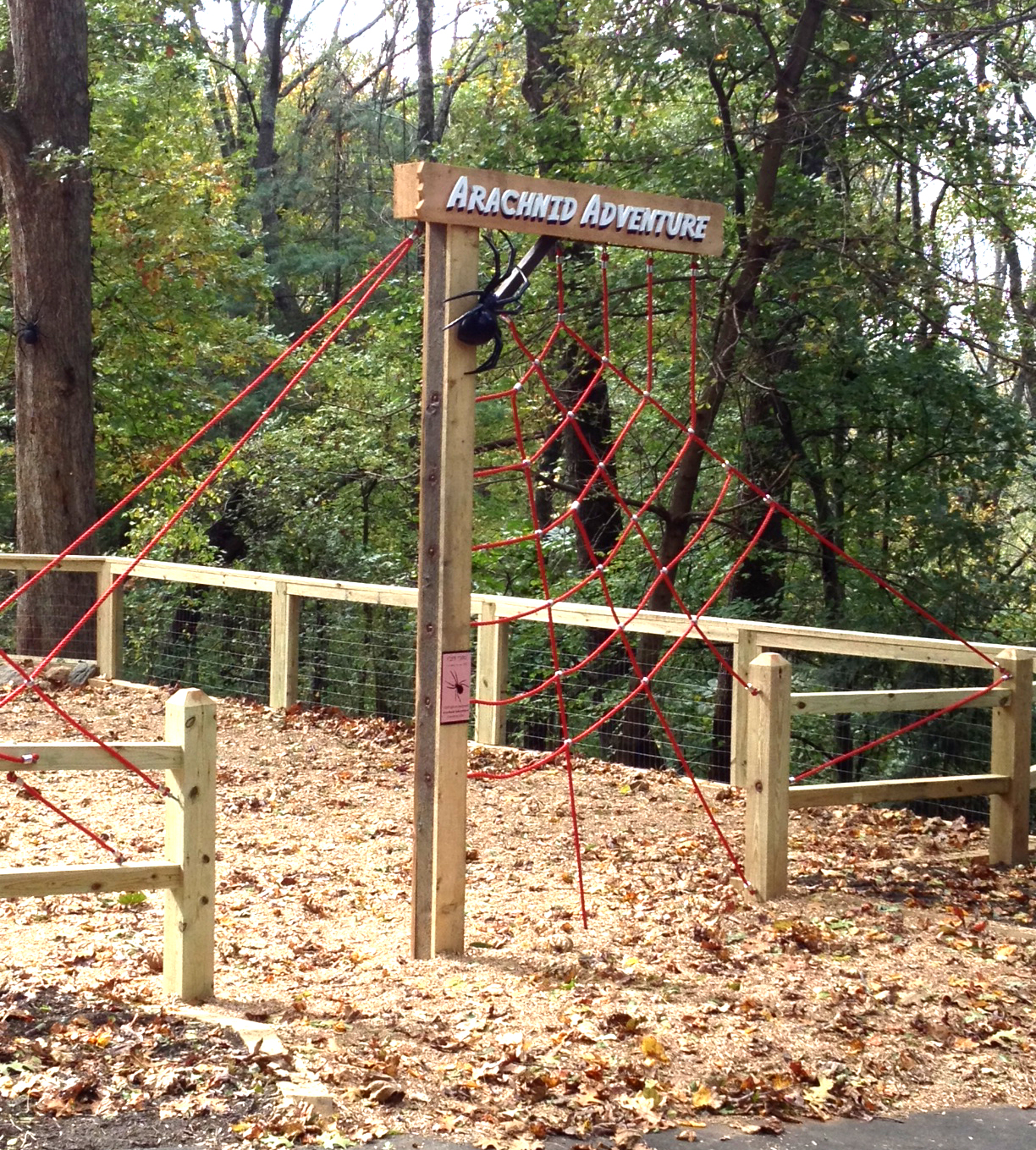 Arachnid Adventure Playground entrance