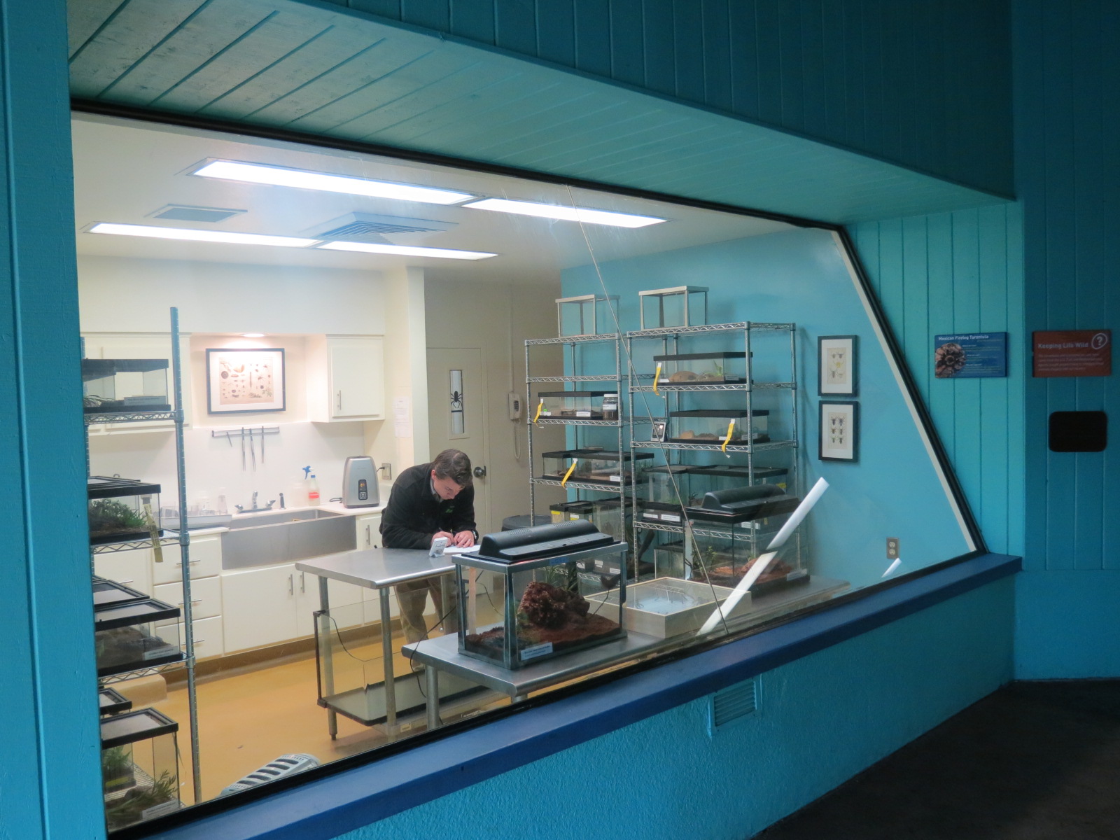 Arachnid Rescue Center