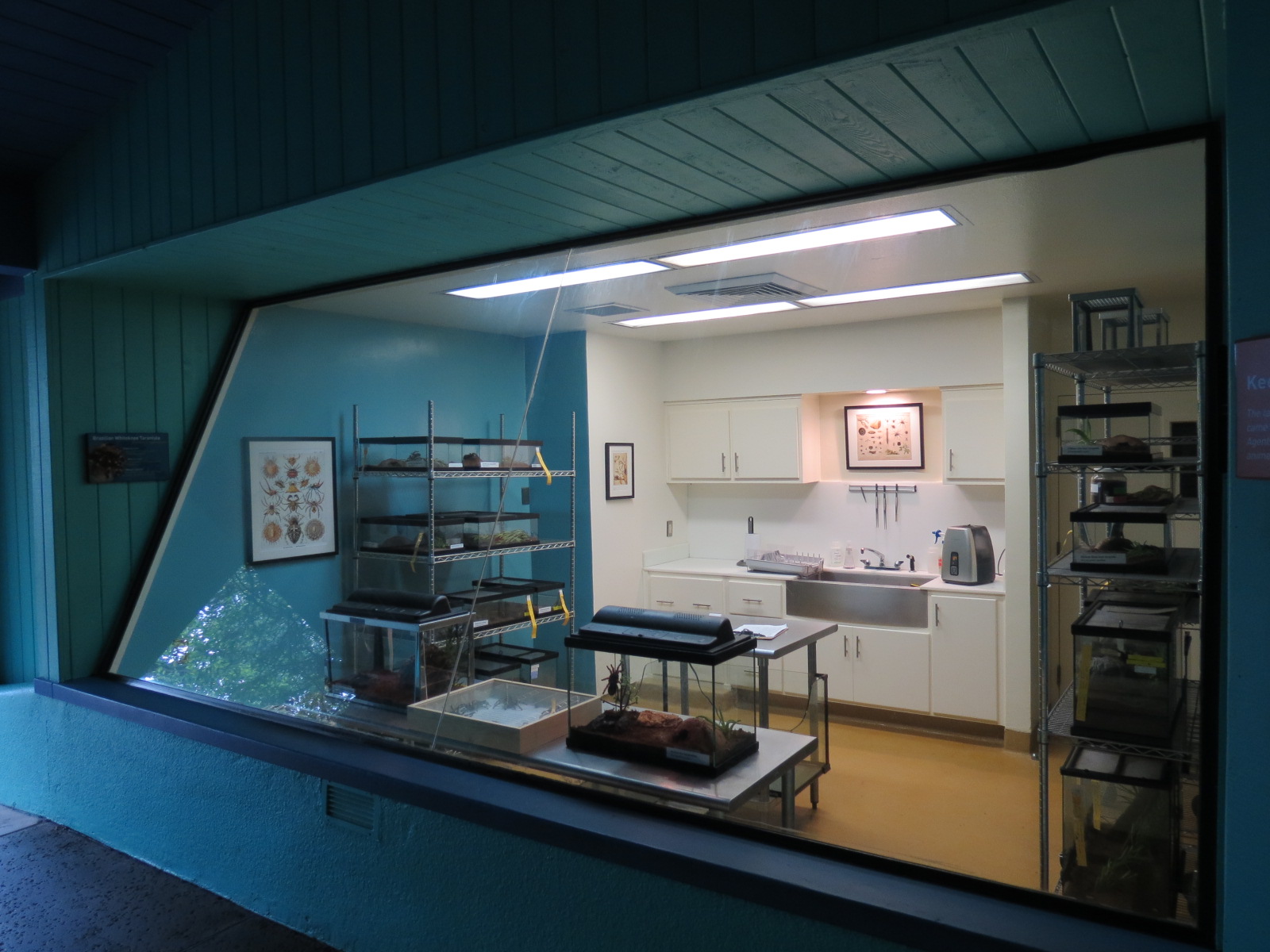 Arachnid Rescue Center