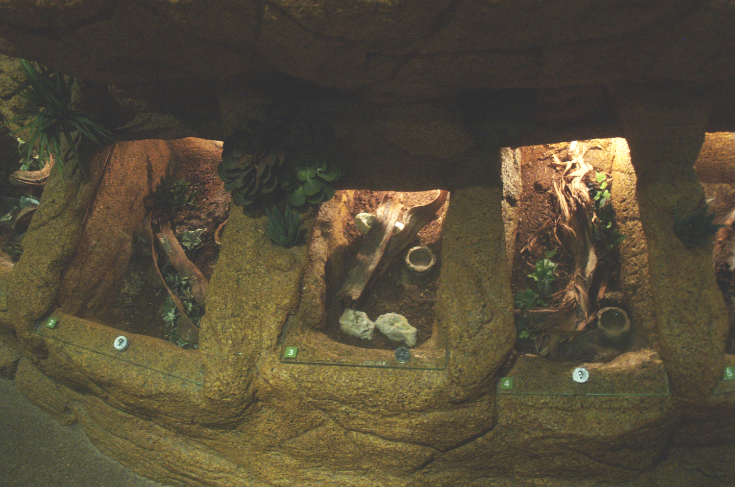 Arachnid terrariums, 2014-02-16