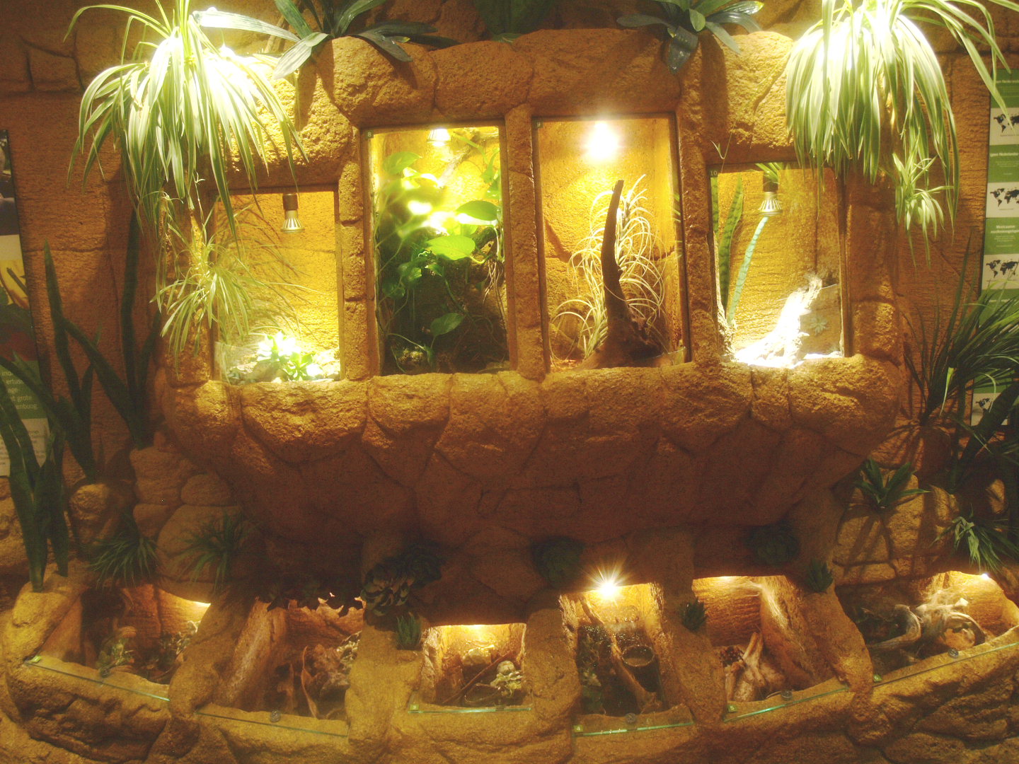 Arachnid terrariums, 2017-02-06