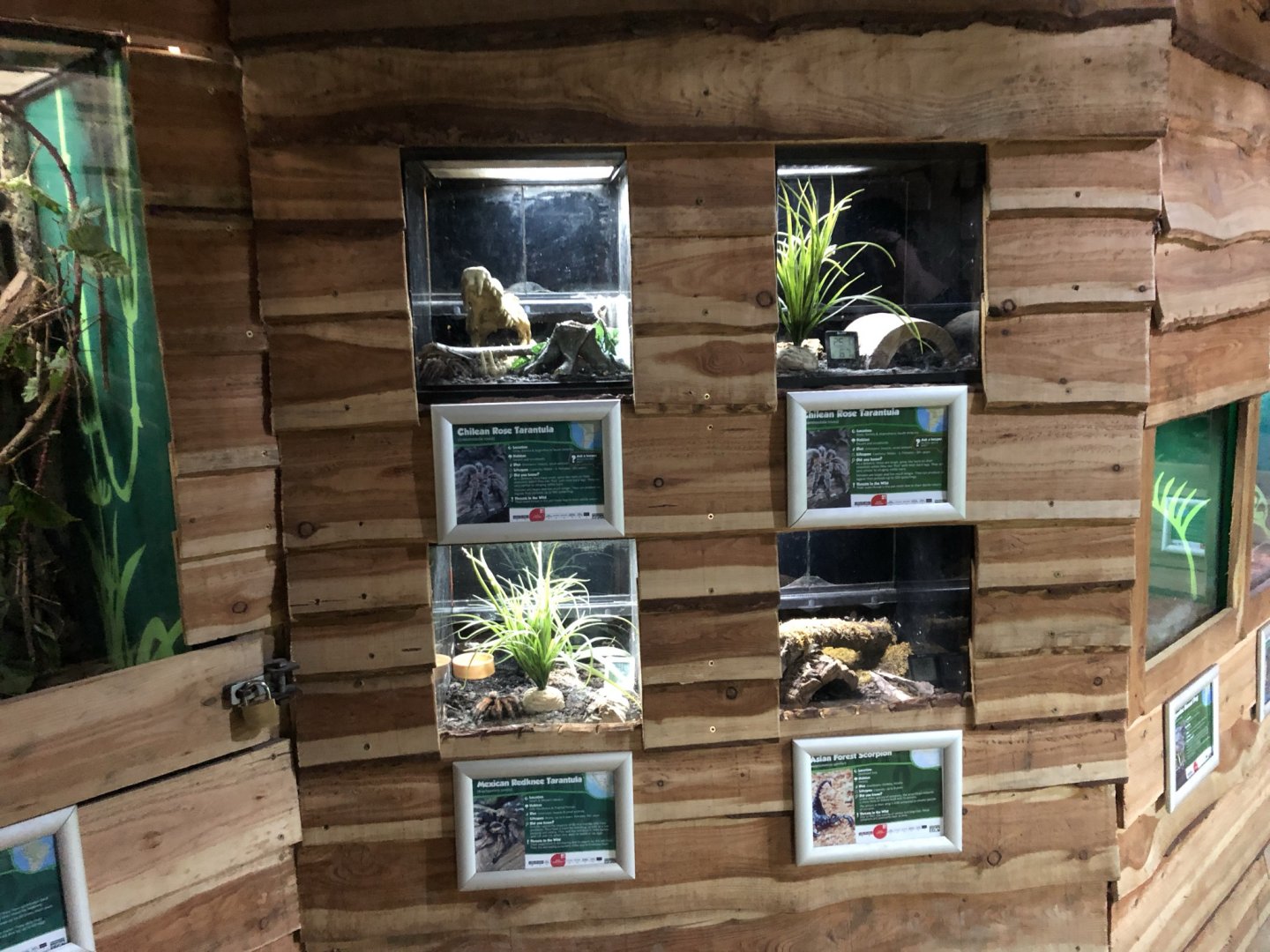 Arachnid Vivariums at Northumberland Country Zoo (September 2021)