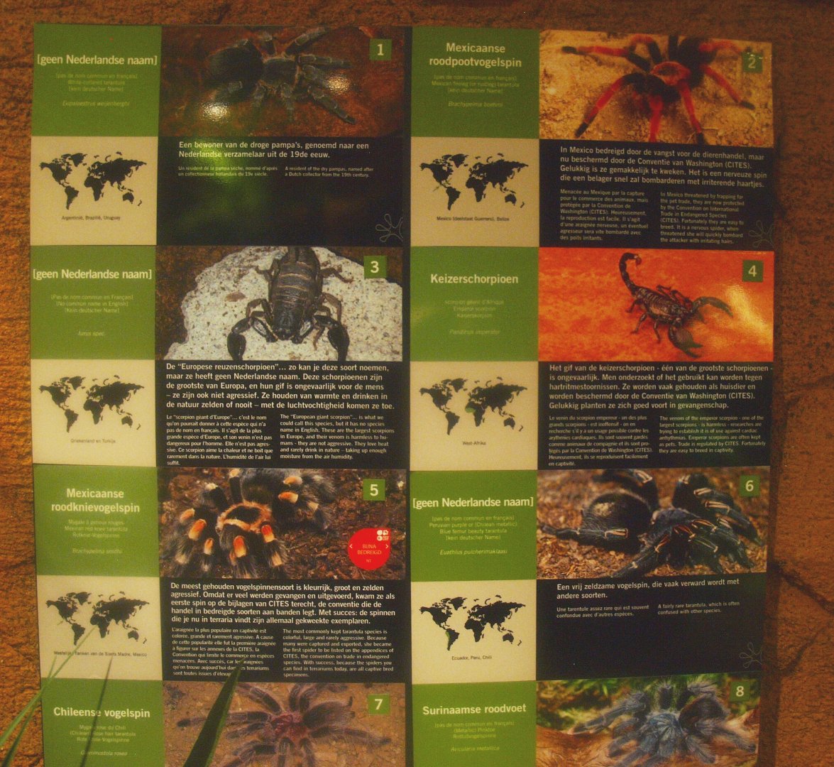 Arachnids signage, 2017-02-06