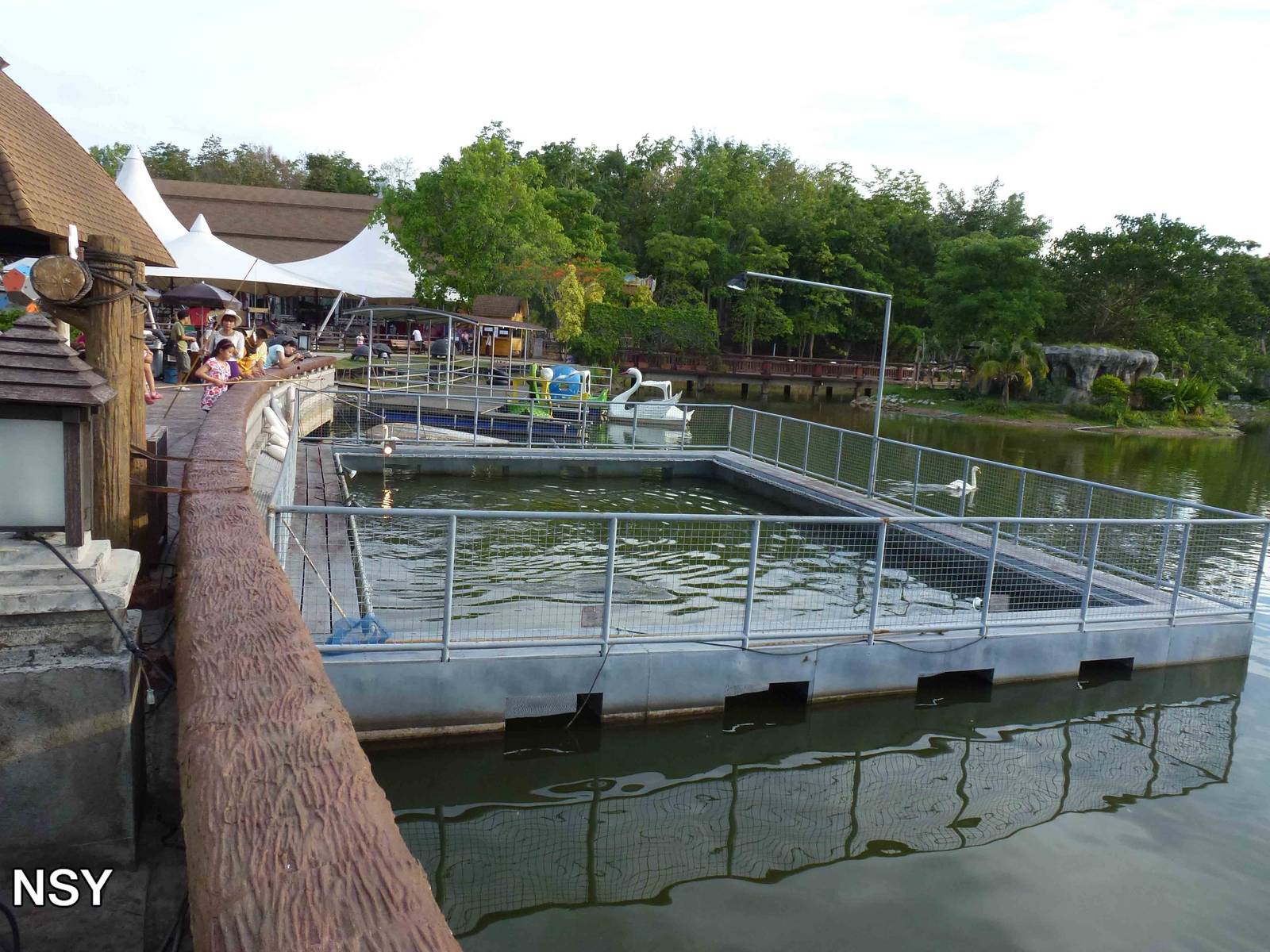 Arapaima enclosure, June 2013.