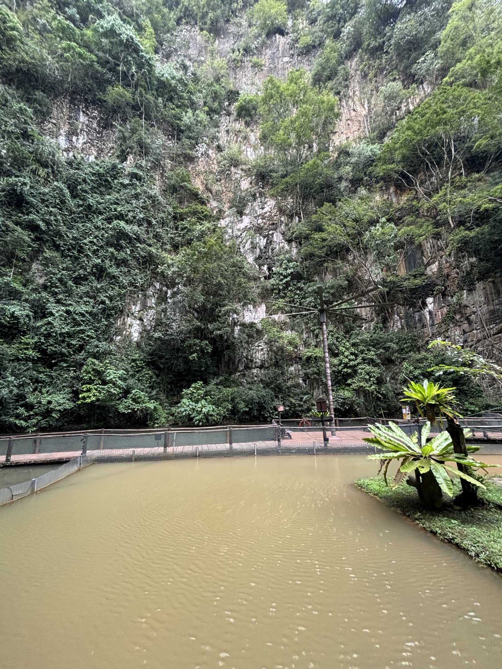 Arapaima Lagoon - Lost World of Tambun