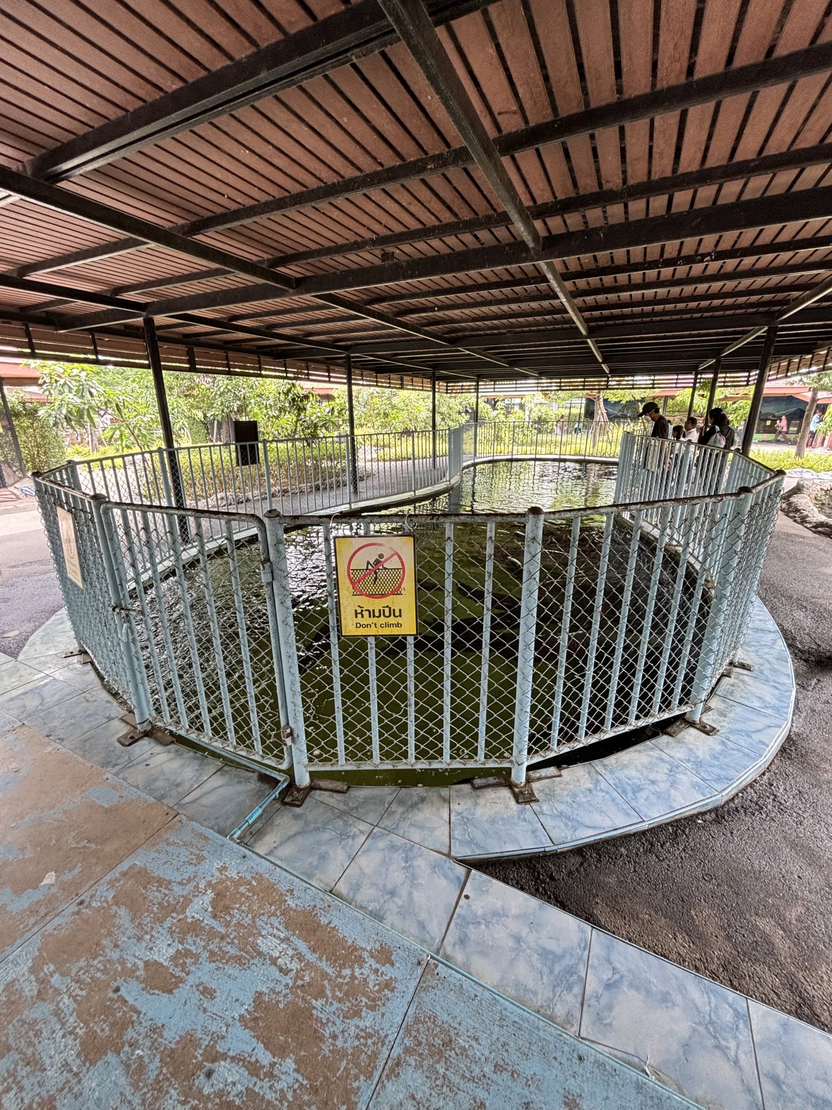 Arapaima Tank - Lion Park
