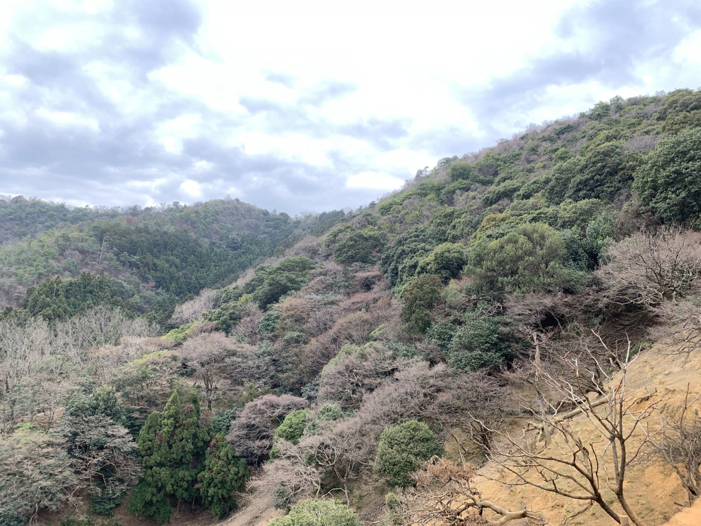 Arashiyama Monkey Park