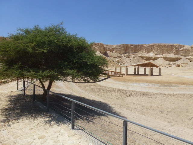 Arava Antelope Farm 23.4.13