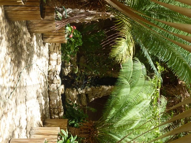 Arava Antelope Farm 23.4.13