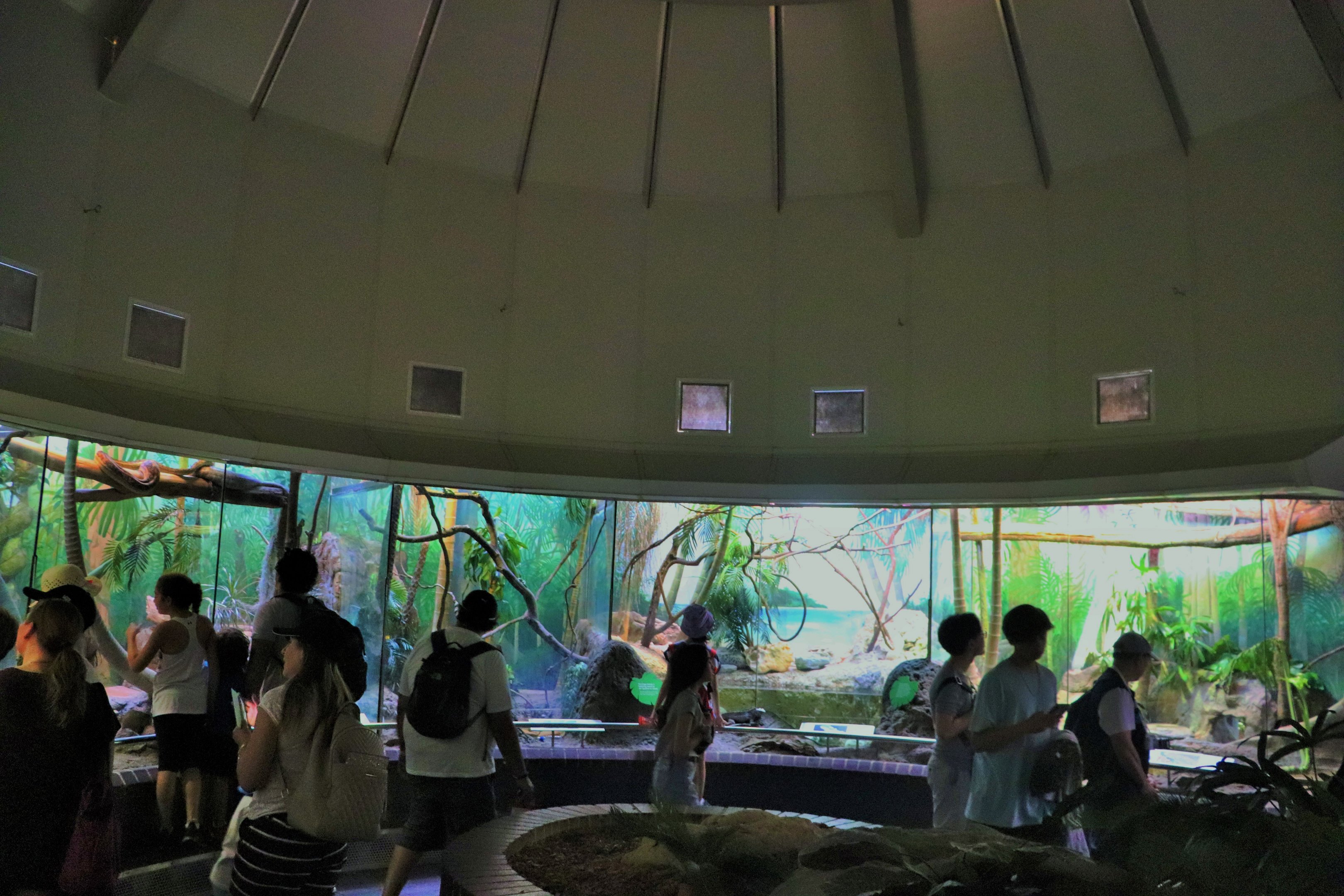 Arboreal Reptile Enclosures