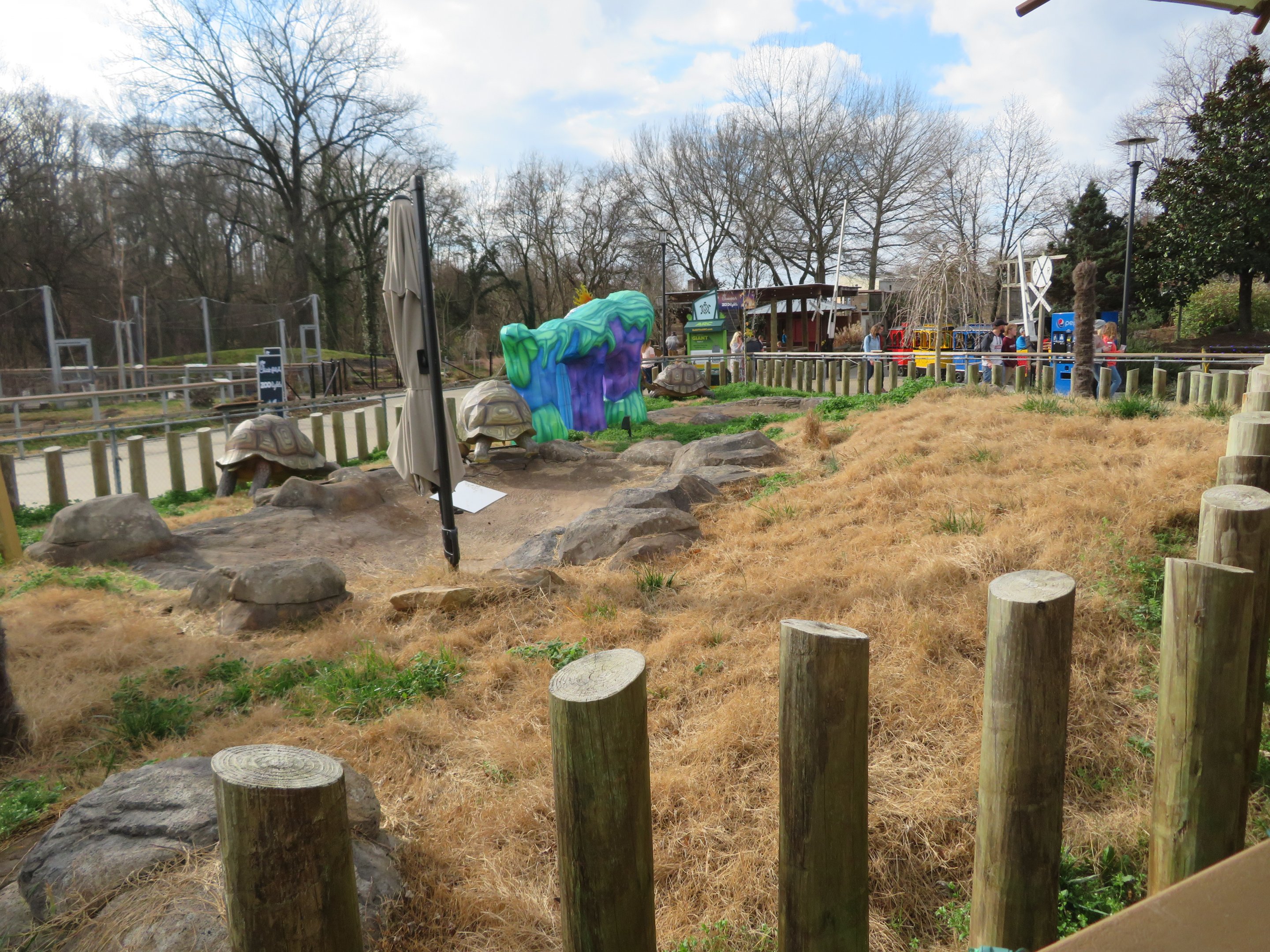 ARC Aldabra Tortoise Yard