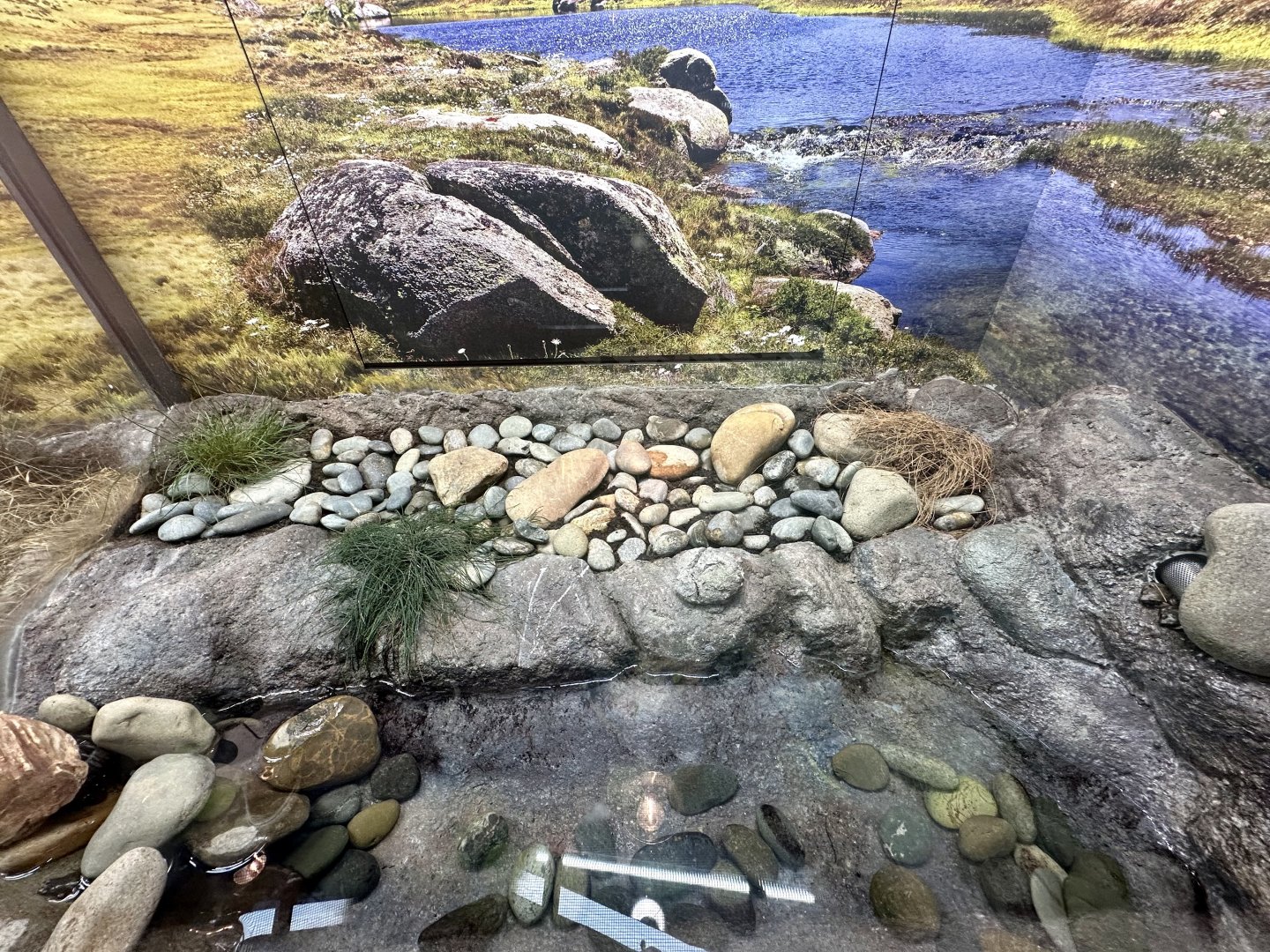 ARC - Booroolong Frog Exhibit