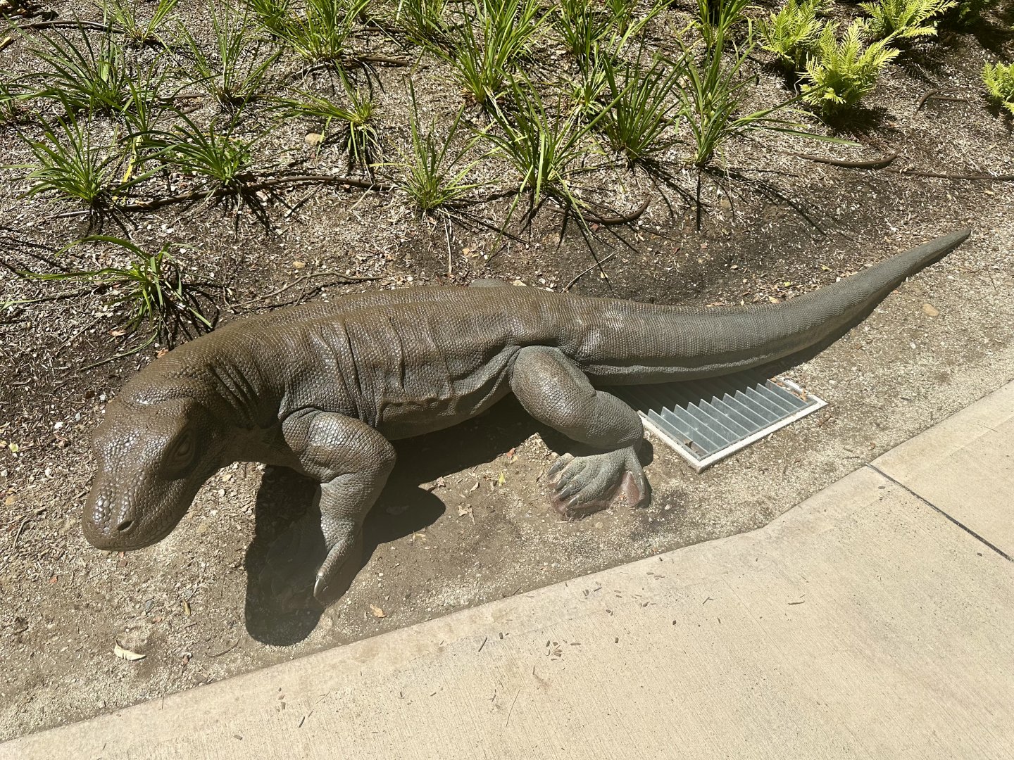 ARC - Komodo Dragon Statue