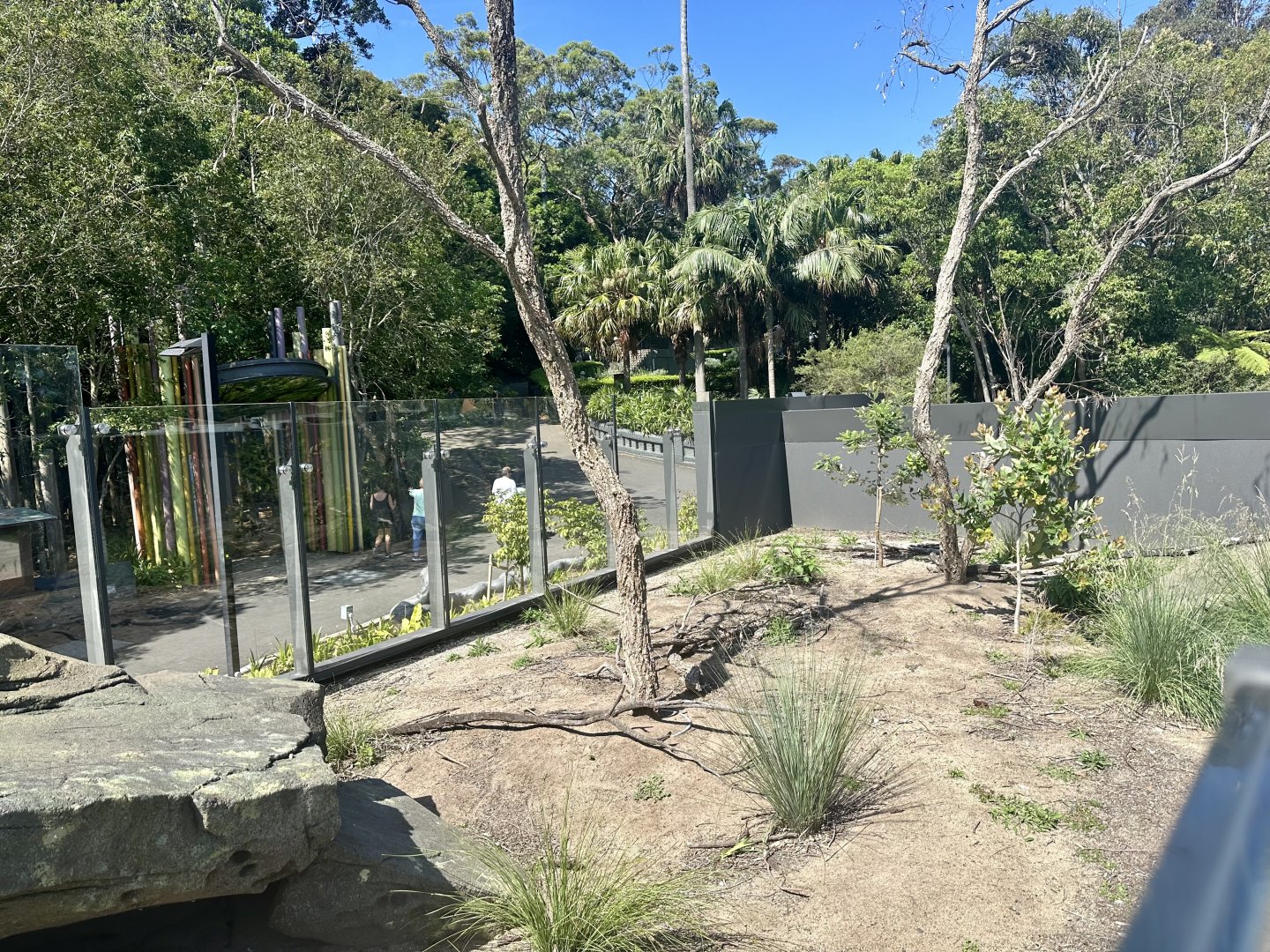 ARC - Lace Monitor Exhibit