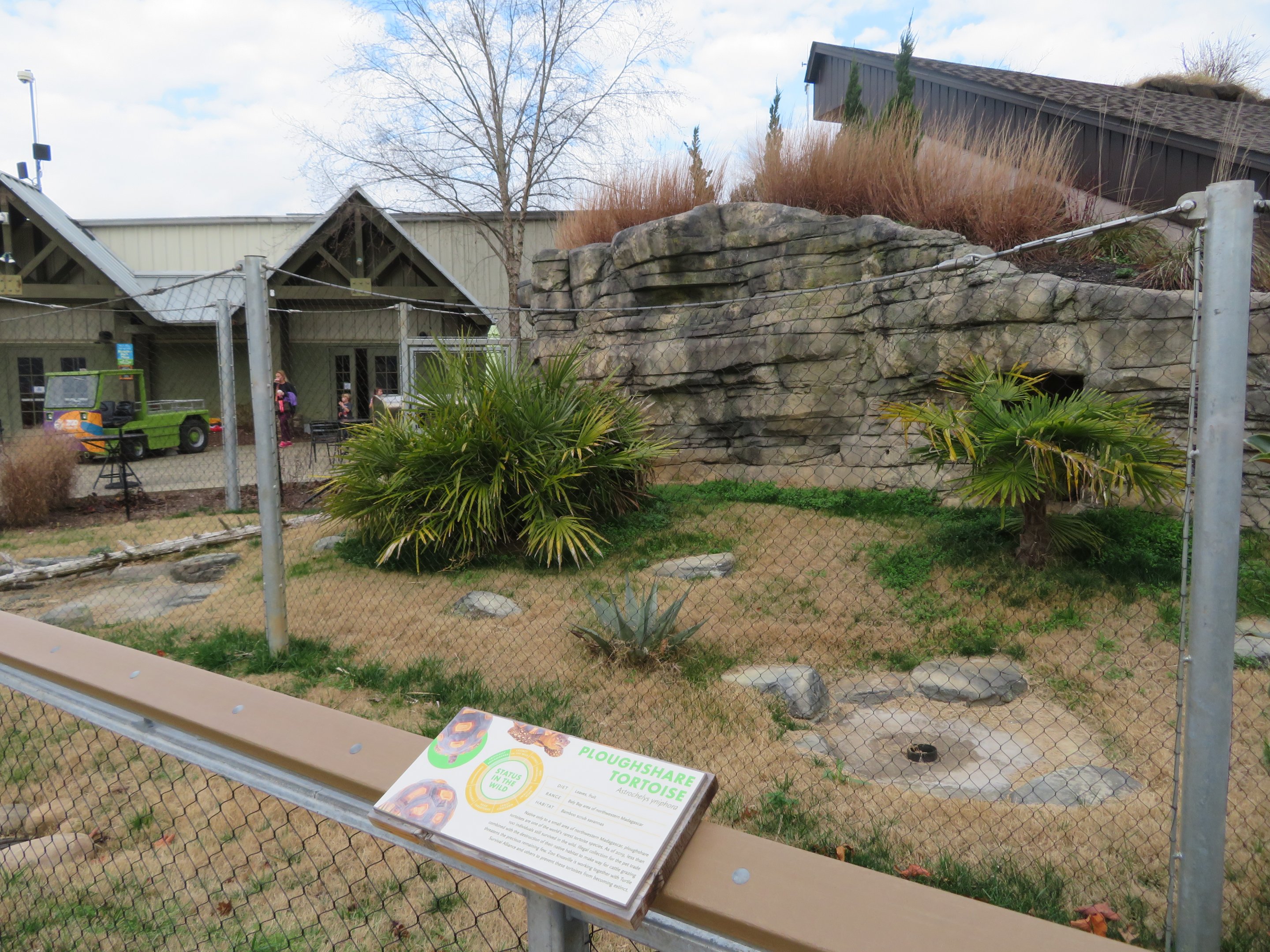 ARC Outdoor Tortoise Yard