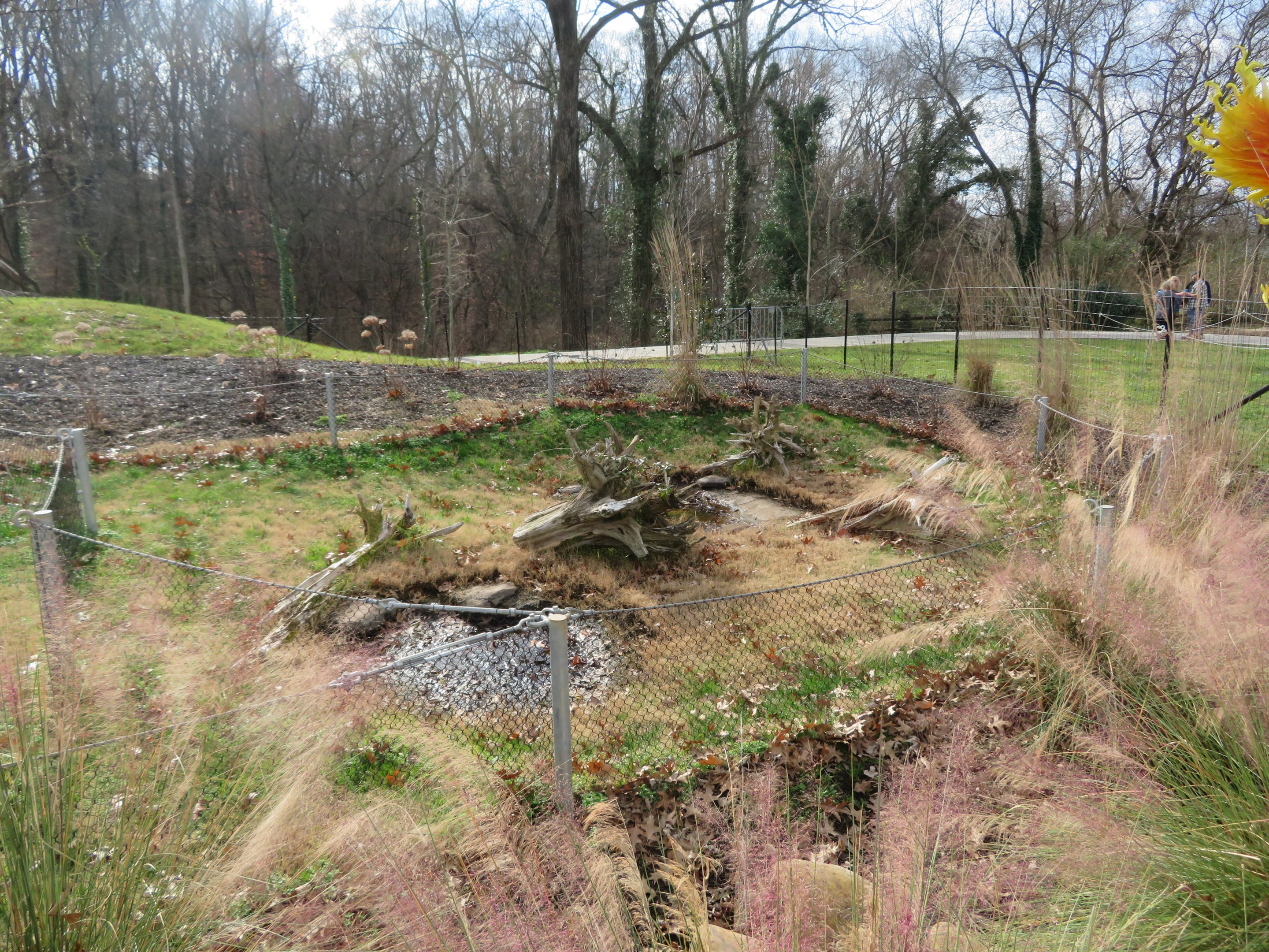 ARC Outdoor Tortoise Yard