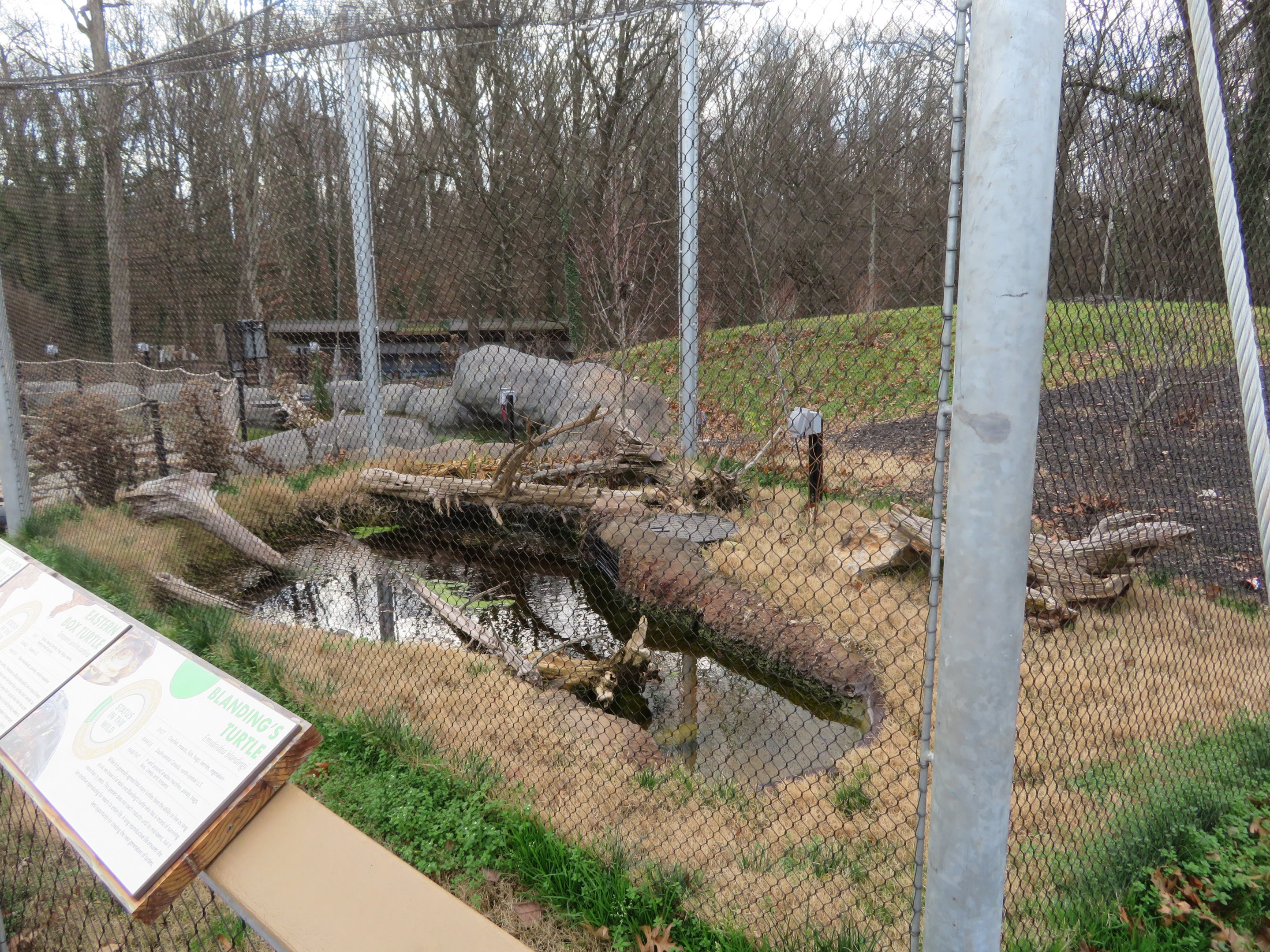 ARC Outdoor Turtle Yard