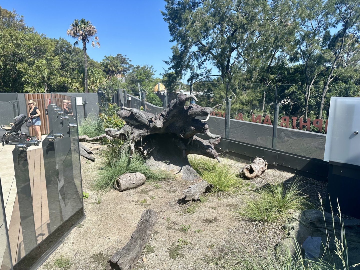 ARC - Red-bellied Black Snake Exhibit