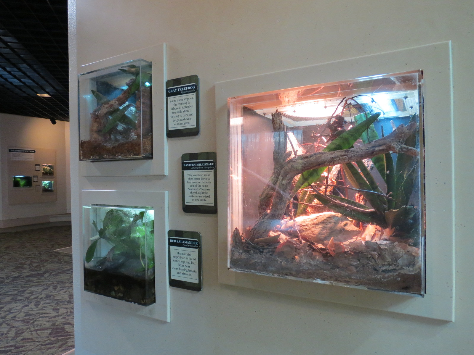 ARC - South Carolina - 3 Terrariums