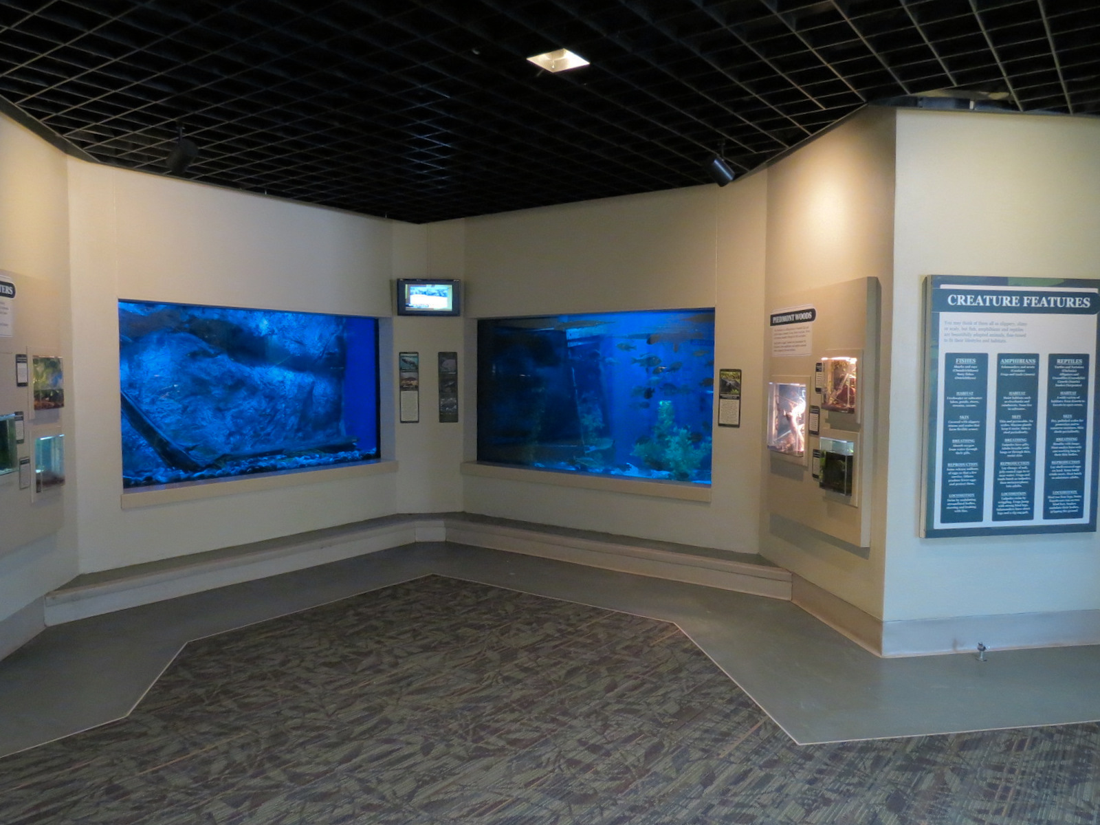 ARC - South Carolina - Exhibit Room